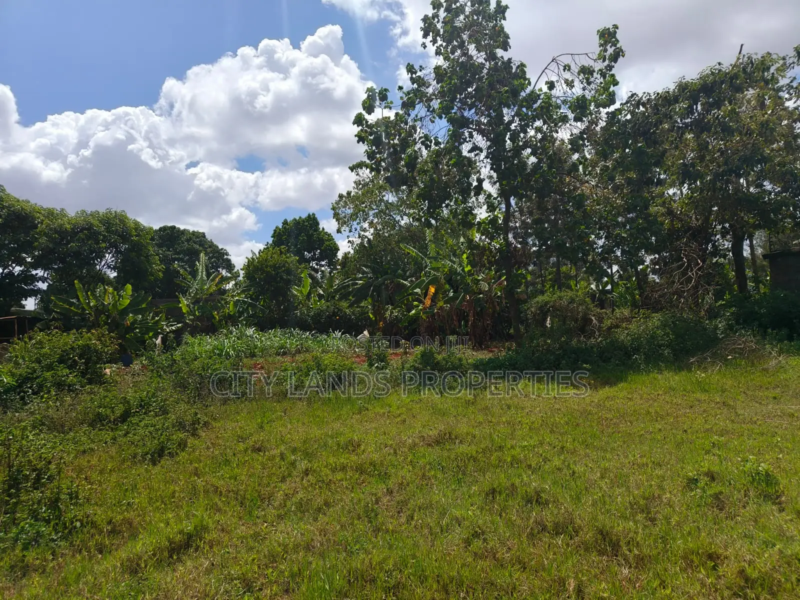 Residential Plots in Ruiru Mugutha, Ready Title Deeds in Kwa Kairu