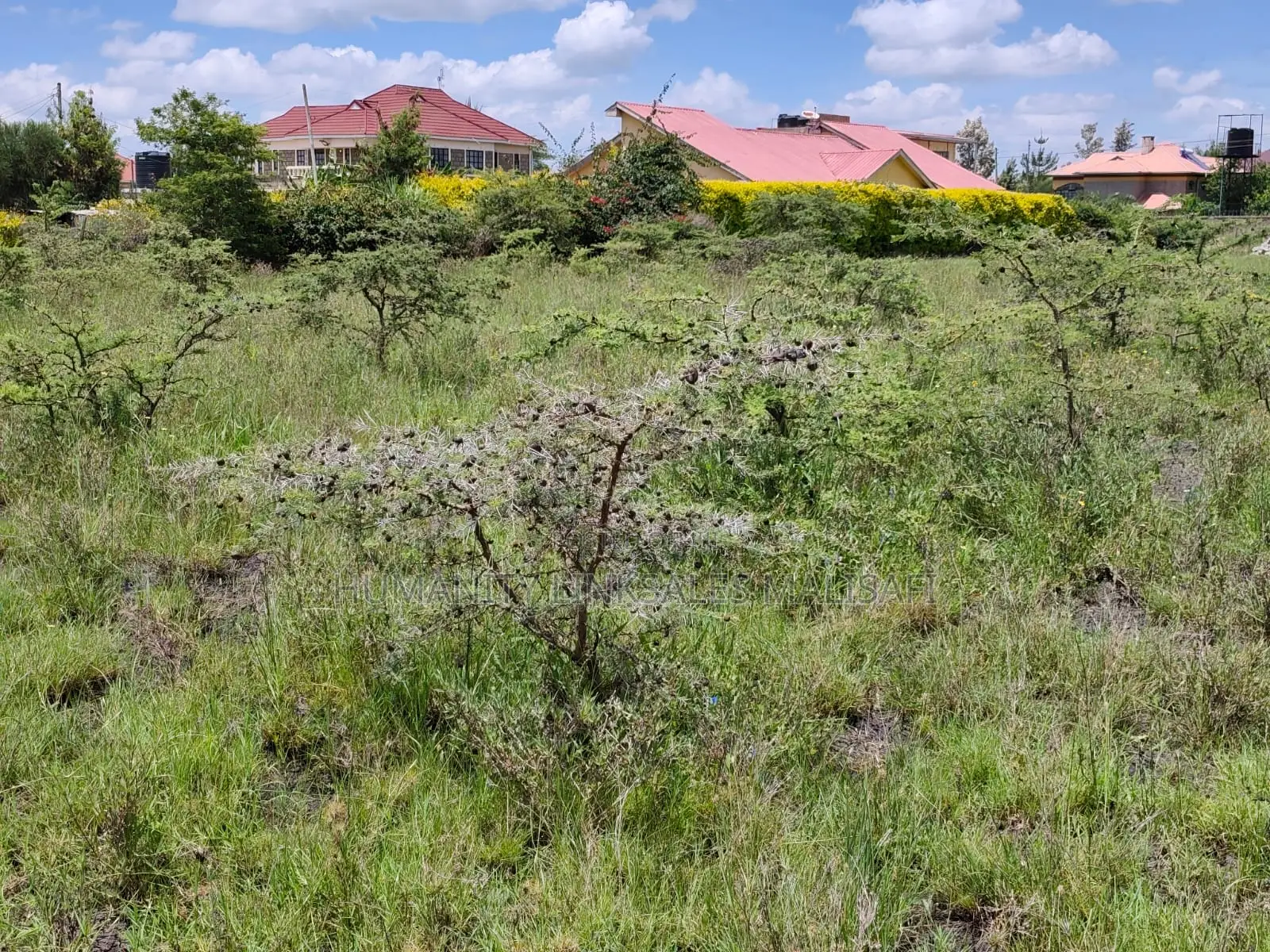 50 by 100 6m. Syokimau Pridelands Area. 200m From Tarmac in Viraj Area