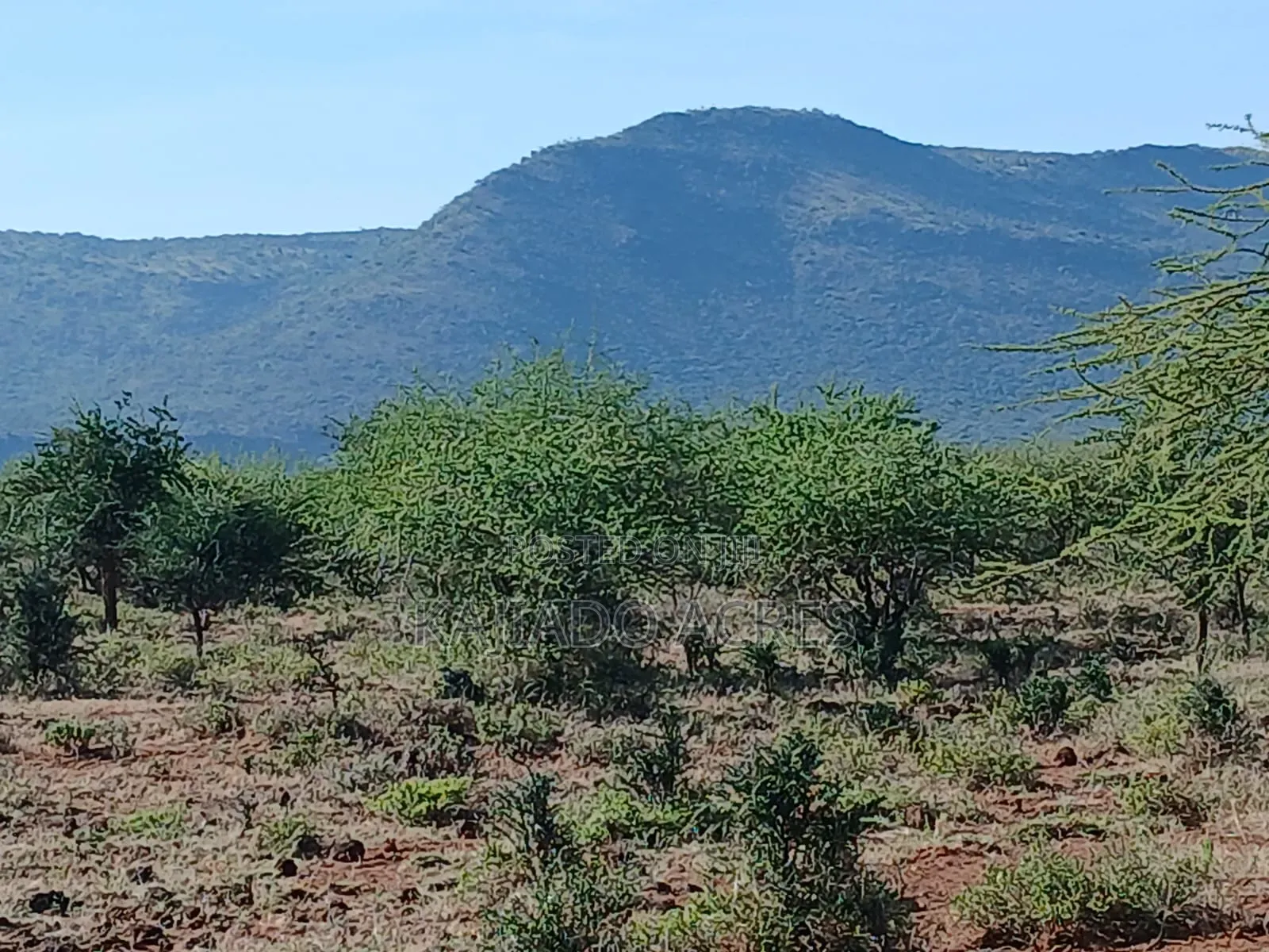 108 Acres Najile at Per Acre in Ewaso Kendong