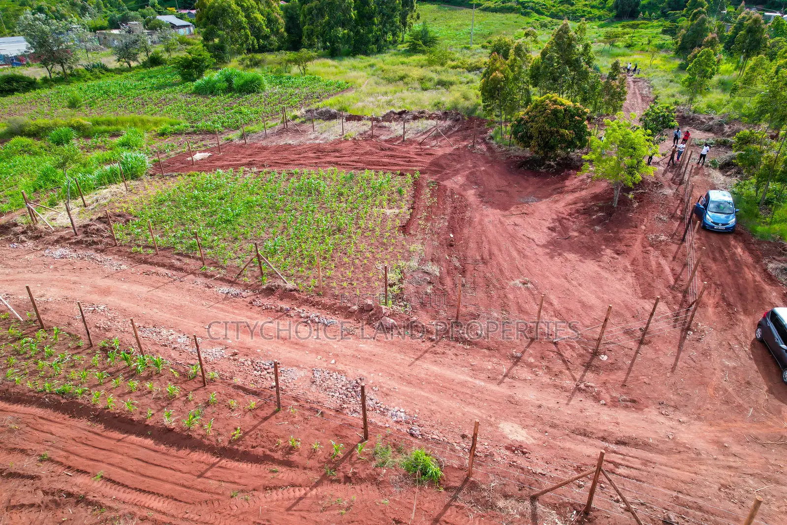 Prime Residential Plot 300m From Tarmac in Kamangu in Karai