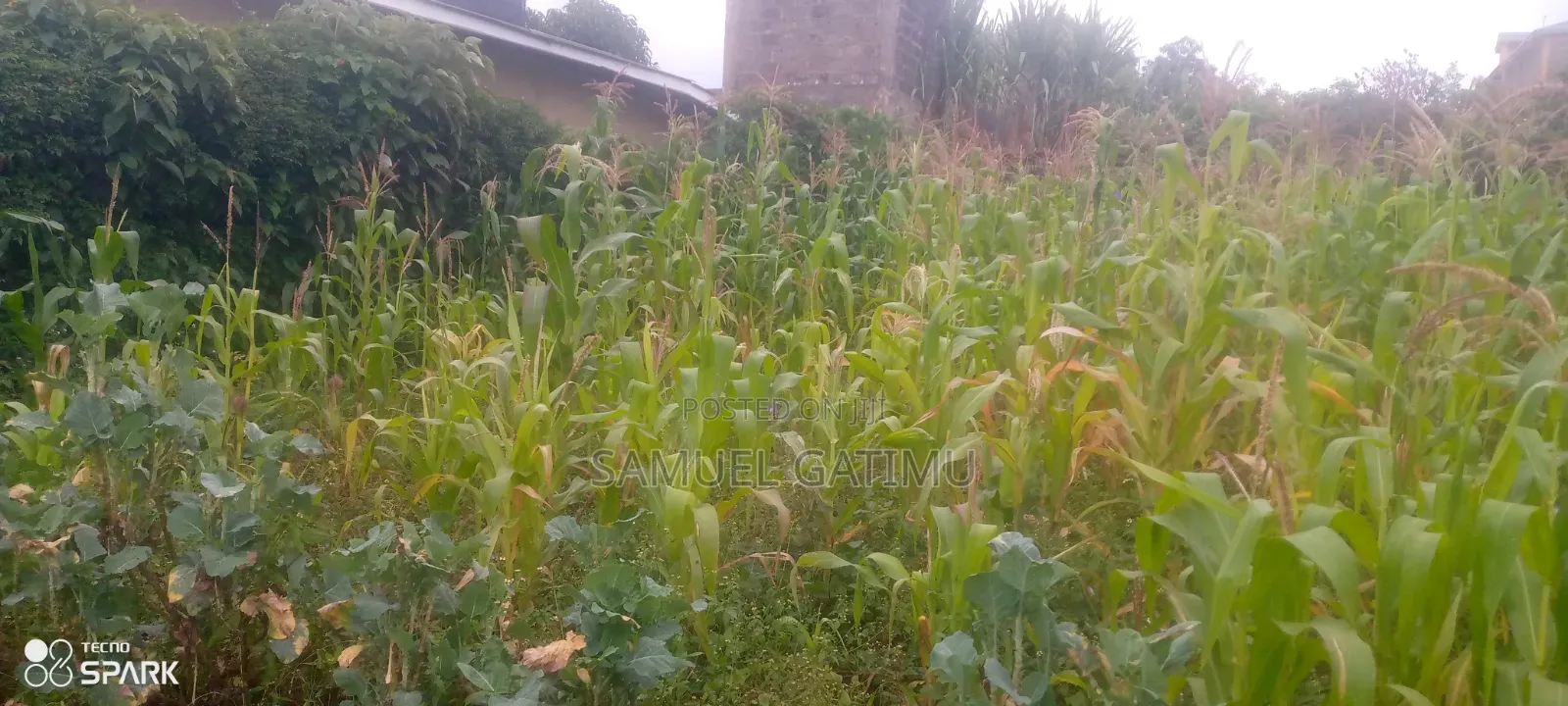 Banana Gachorua 100/100 Plot for Sale in Kiambaa