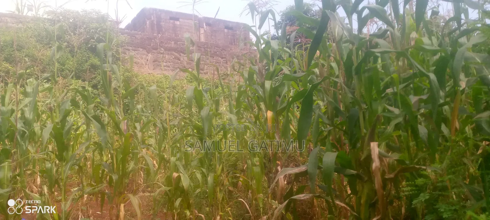 Ndederu 100/100 Plot for Sale in Kiambaa