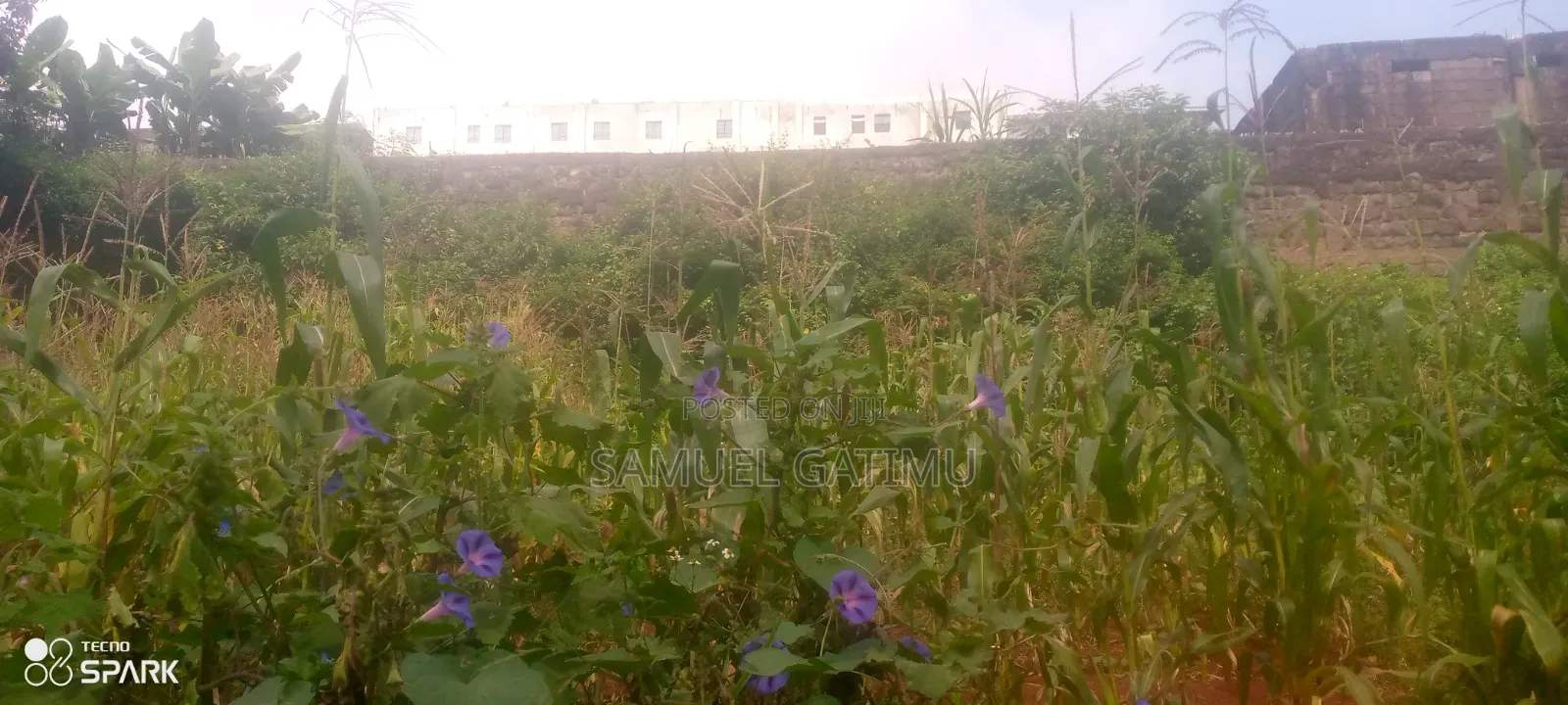 Ndederu 100/100 Plot for Sale in Kiambaa