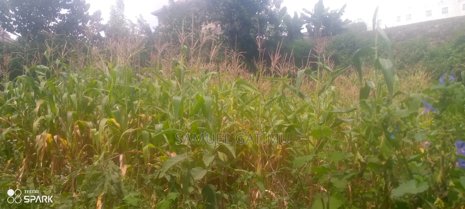 Ndederu 100/100 Plot for Sale in Kiambaa