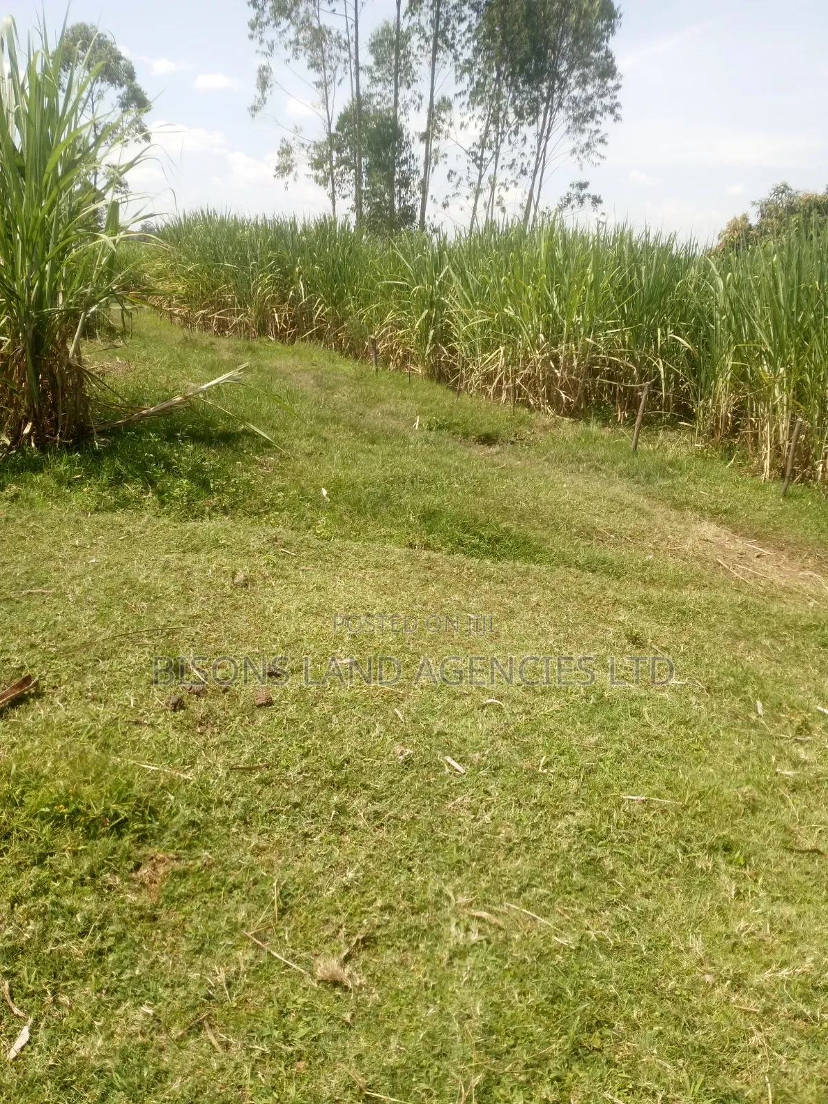 Available 14acre Land for Sale in Migori County in Kitengela