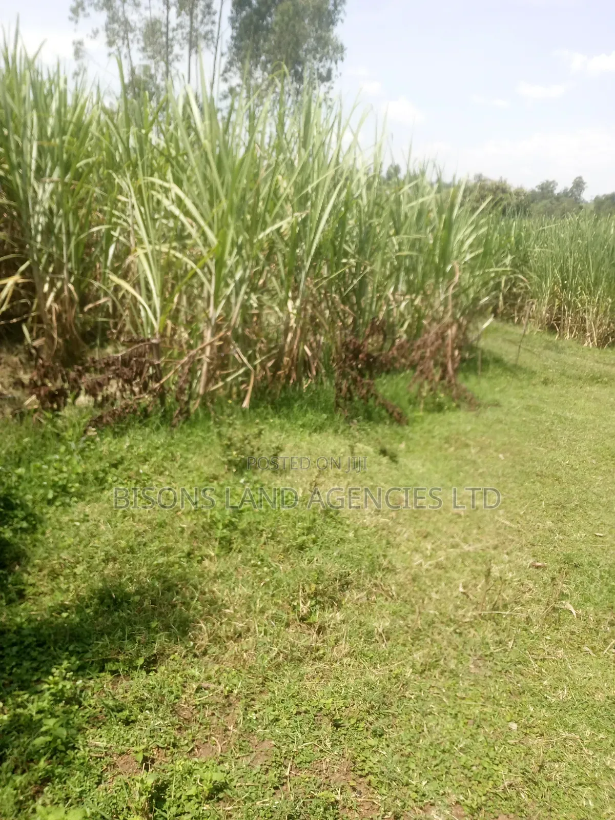 Available 14acre Land for Sale in Migori County in Kitengela