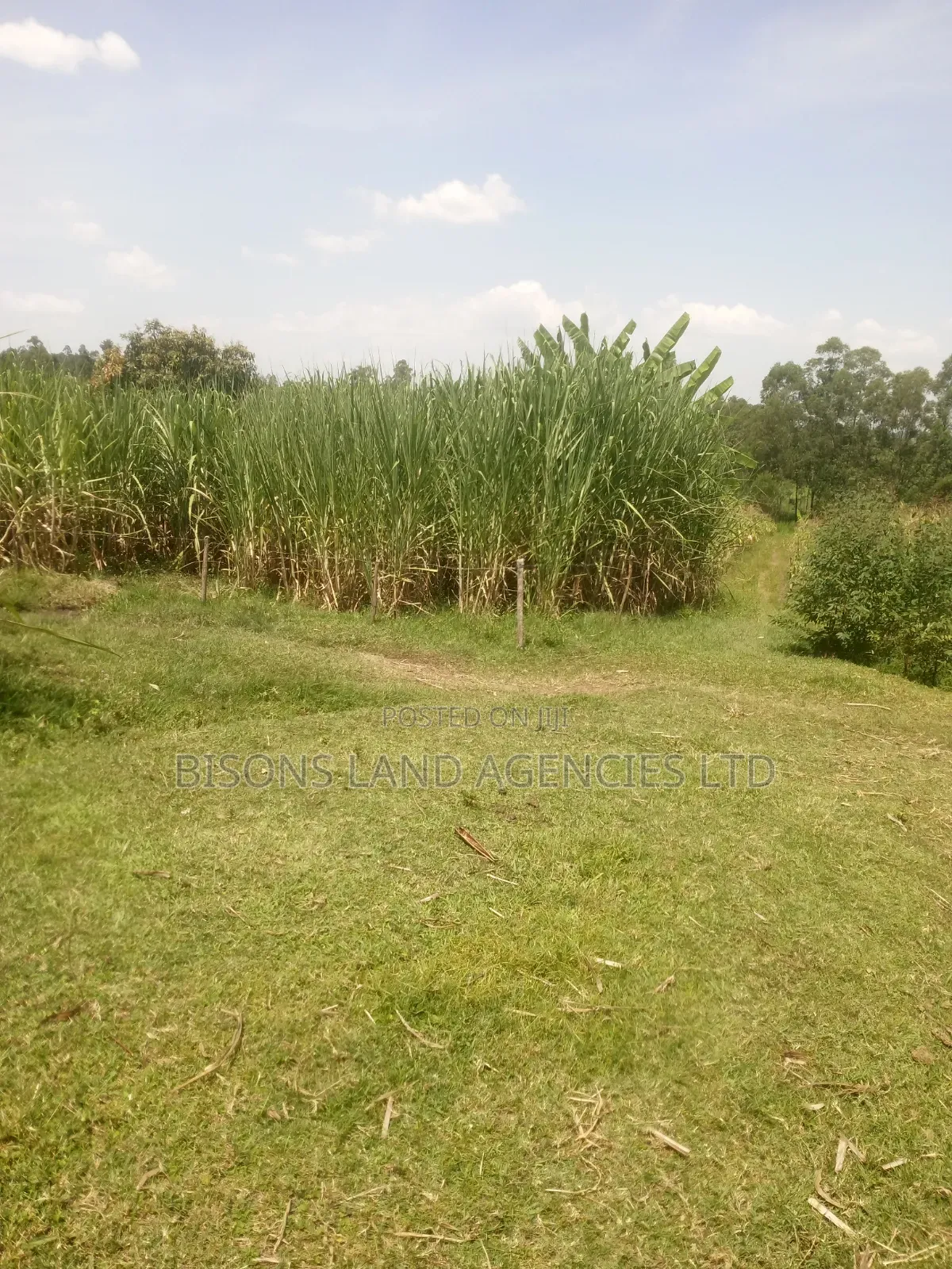 Available 14acre Land for Sale in Migori County in Kitengela