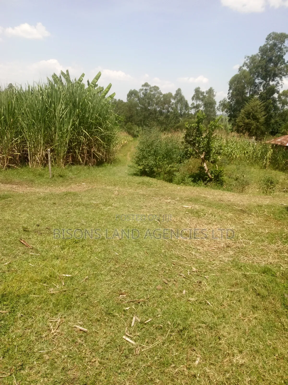 Available 14acre Land for Sale in Migori County in Kitengela