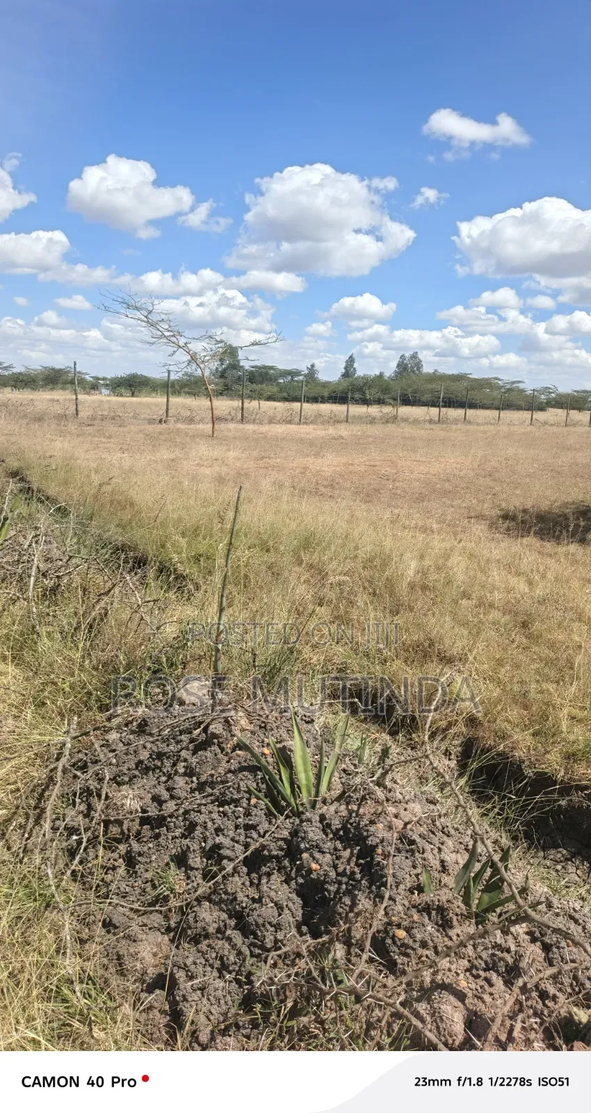 10acre at Nguluni in Nguluni