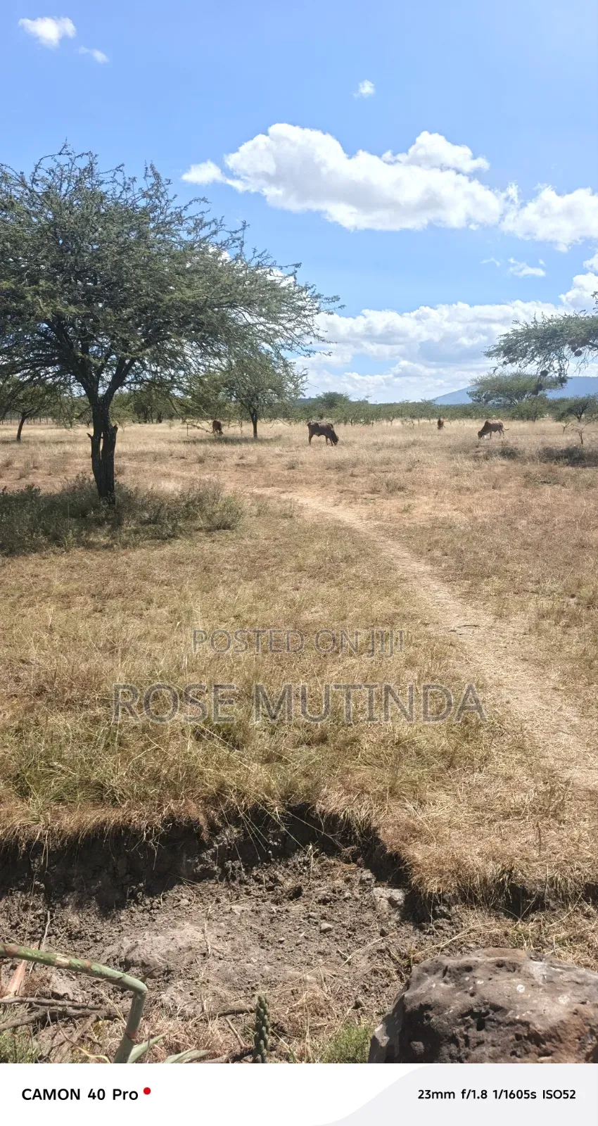 10acre at Nguluni in Nguluni