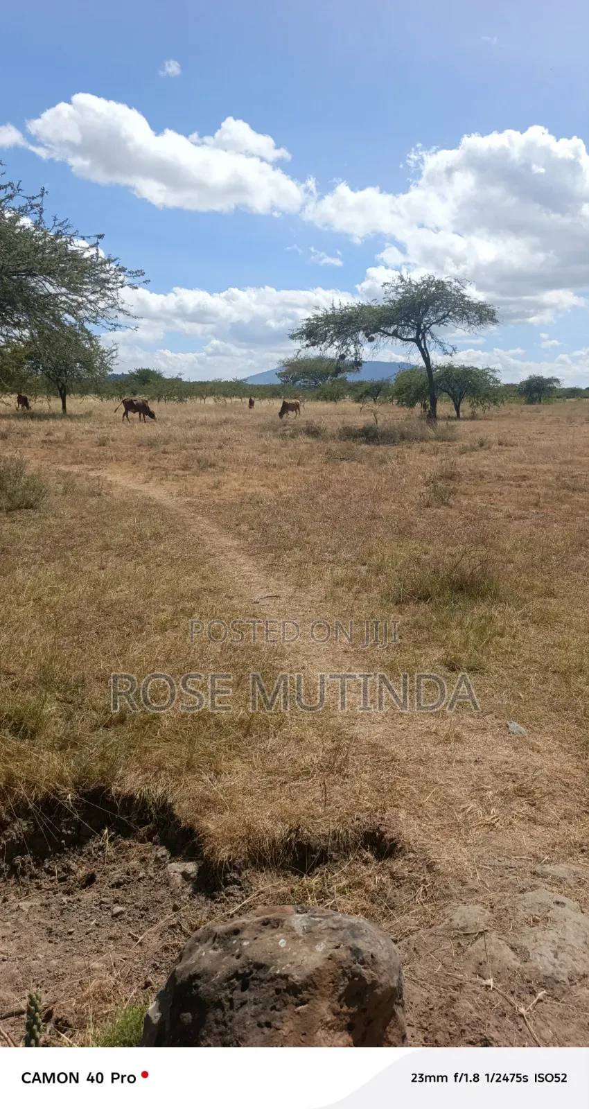 10acre at Nguluni in Nguluni
