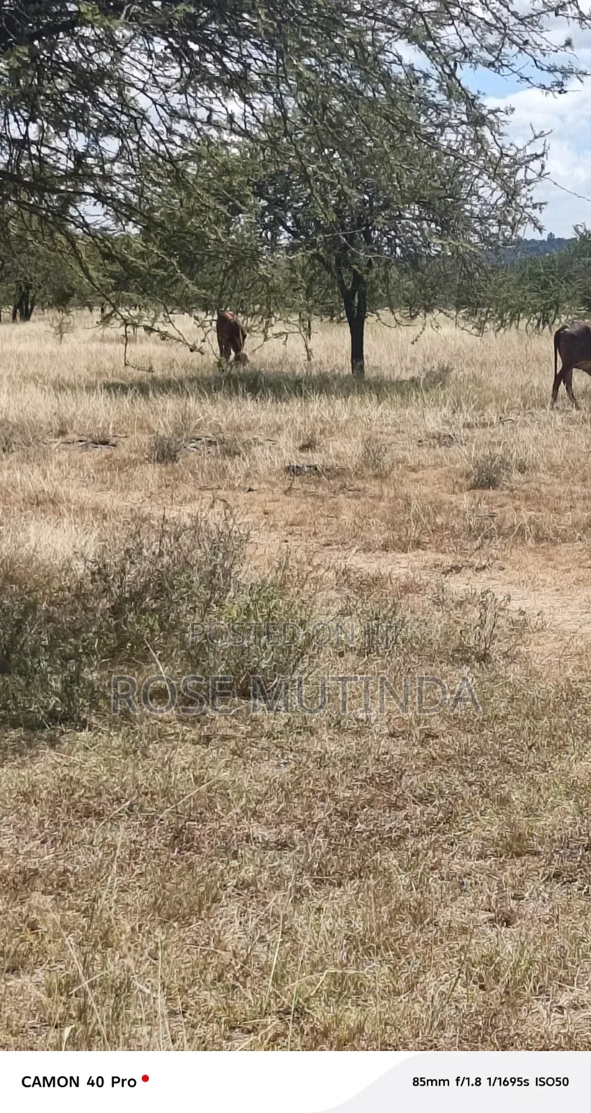 10acre at Nguluni in Nguluni