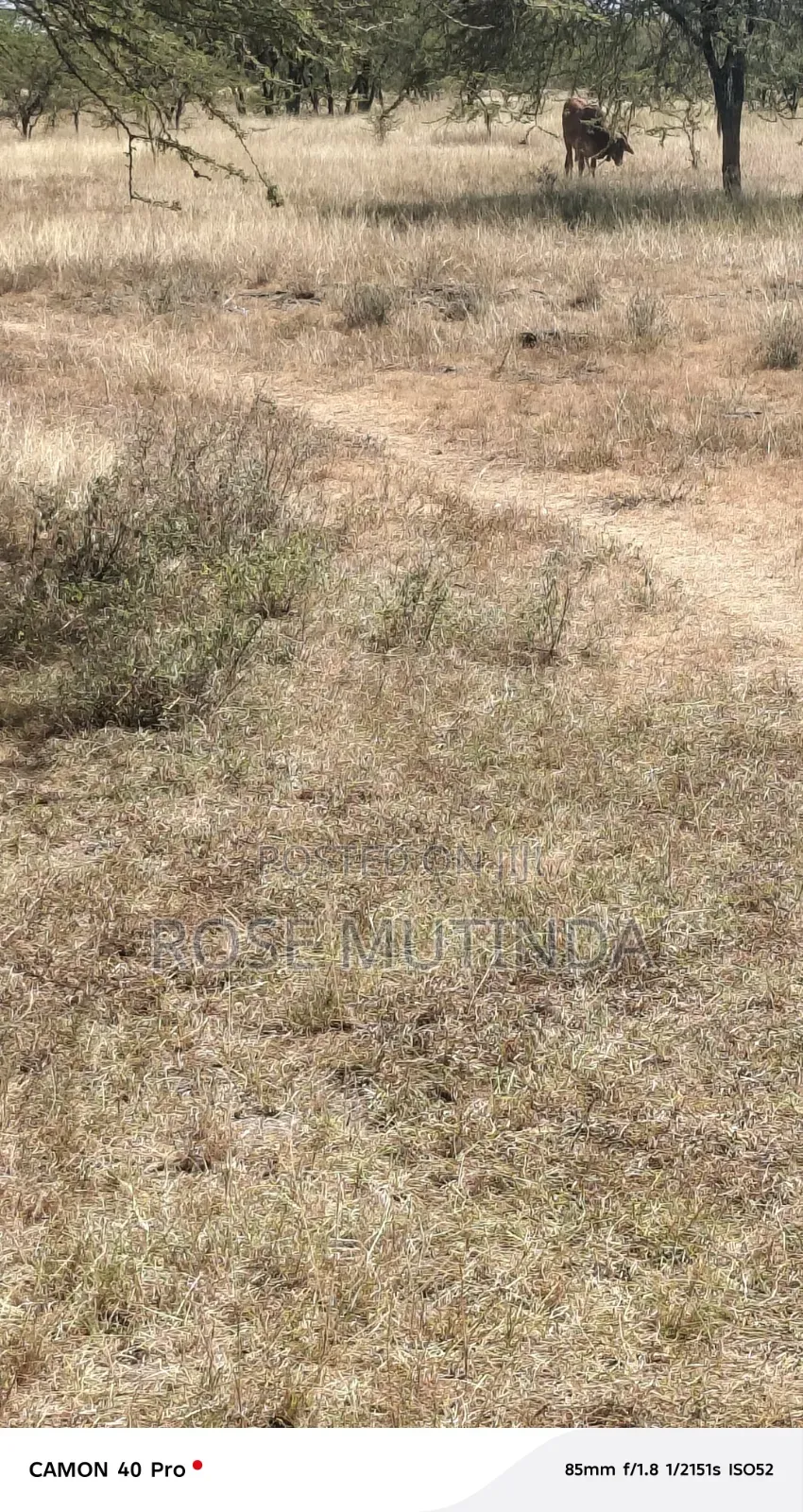 10acre at Nguluni in Nguluni