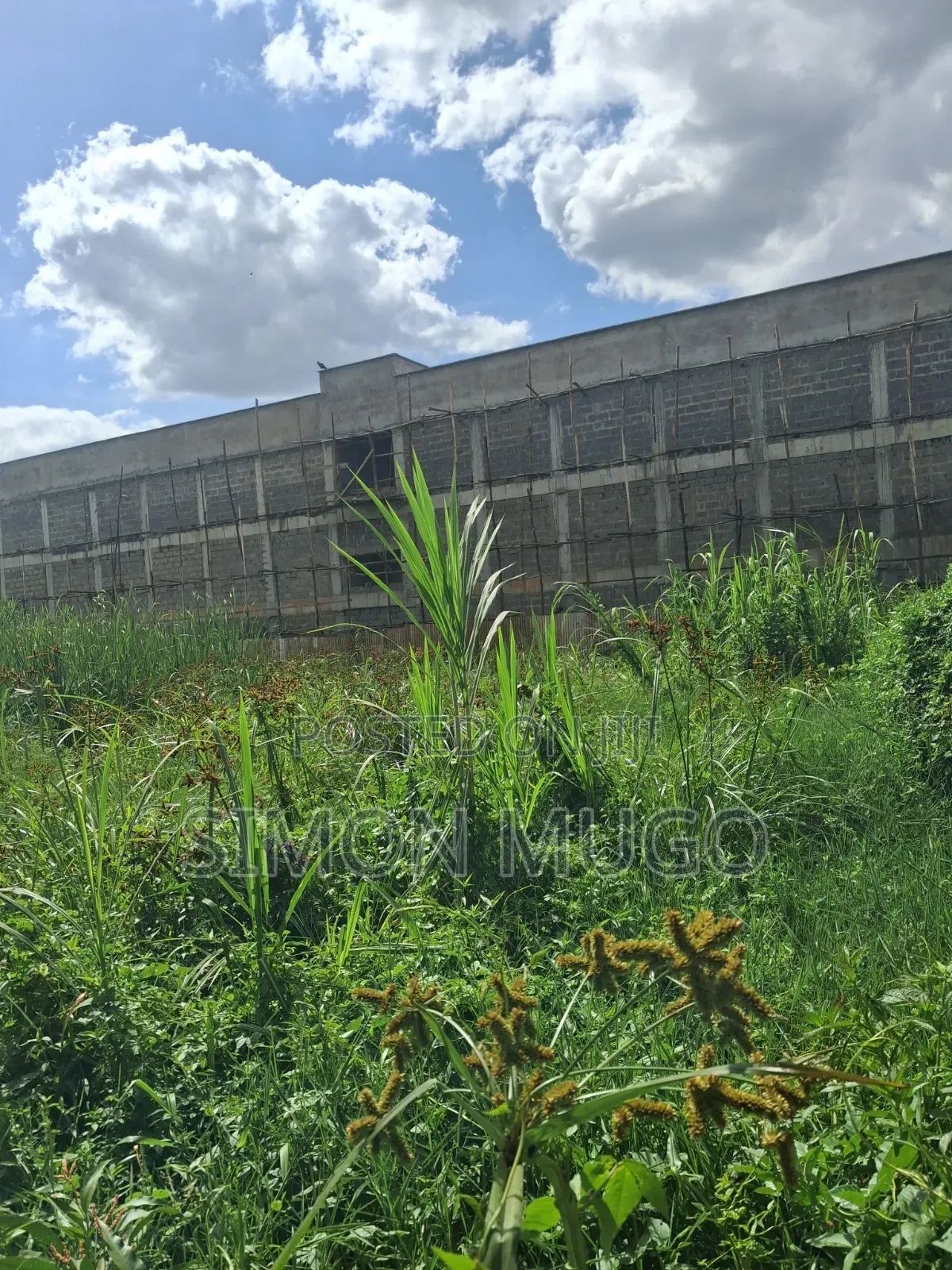 Roysambu Kamiti Road Opposite Cooperative Bank Commercial 1/8 Ac in Roysambu