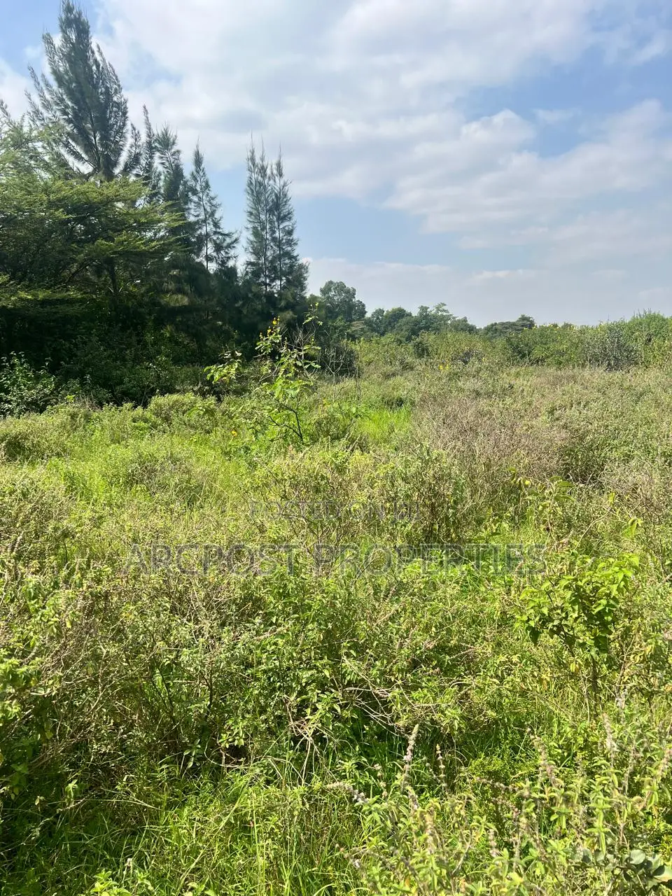 Prime 1/2 Acre Plot for Sale in Karen Plains Gated Community in Karen C