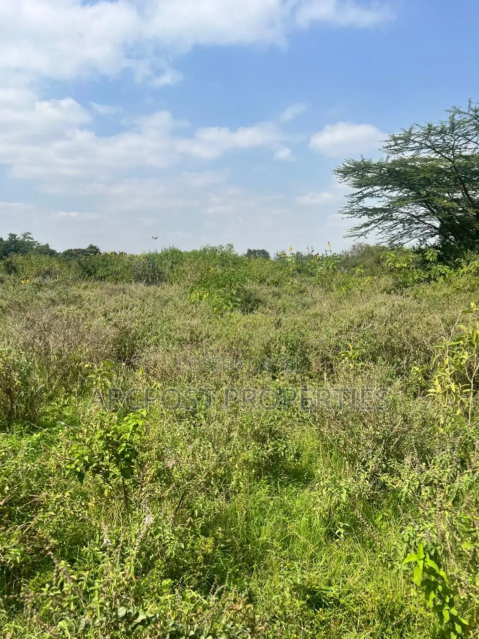 Prime 1/2 Acre Plot for Sale in Karen Plains Gated Community in Karen C