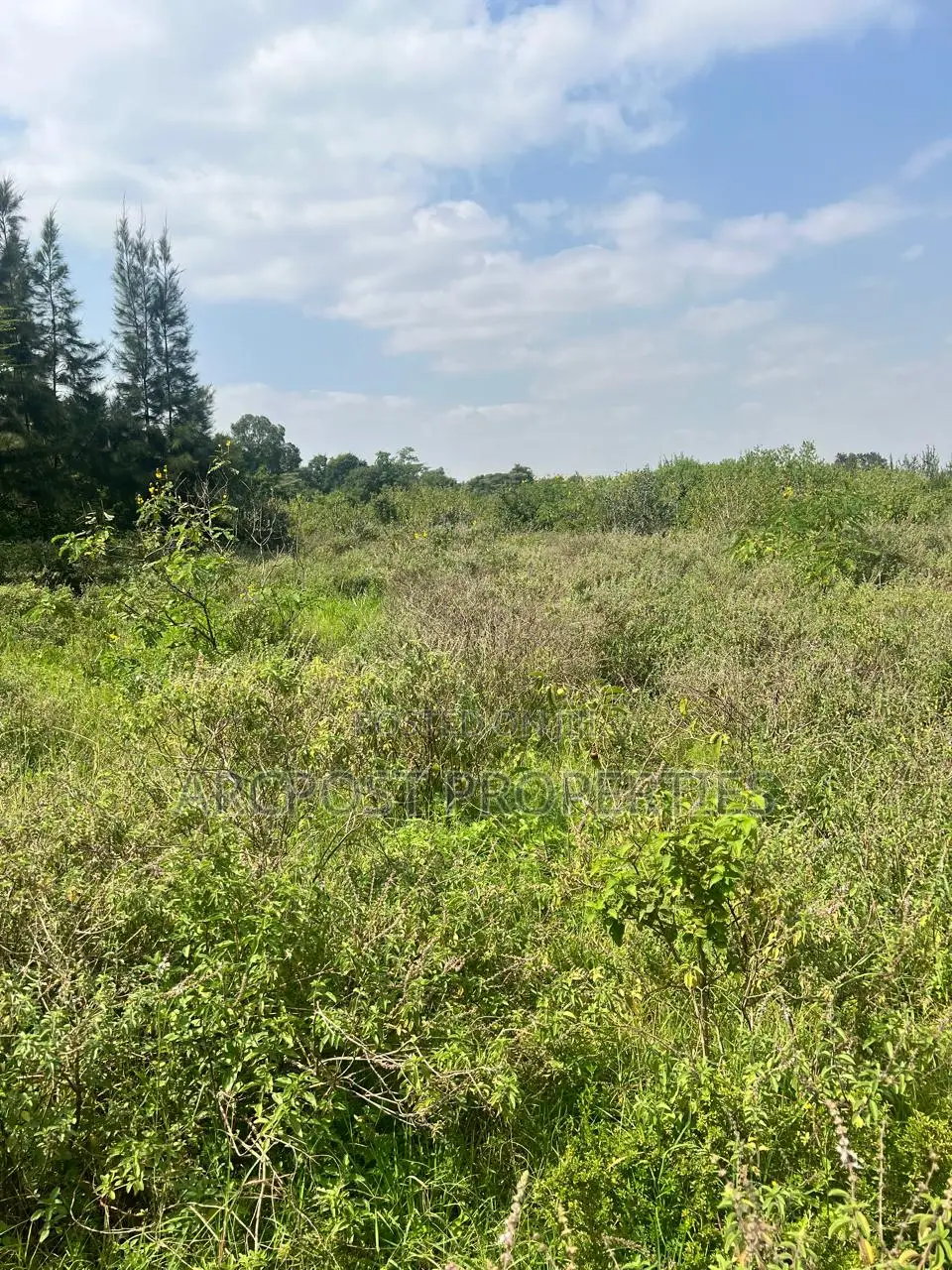 Prime 1/2 Acre Plot for Sale in Karen Plains Gated Community in Karen C