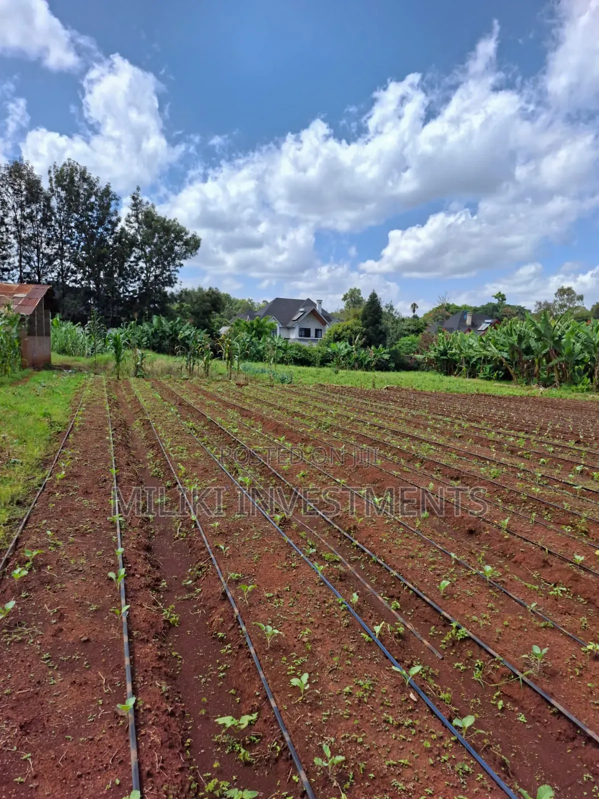Prime Half an Acre on Sale at Karen in Royal Park Estate