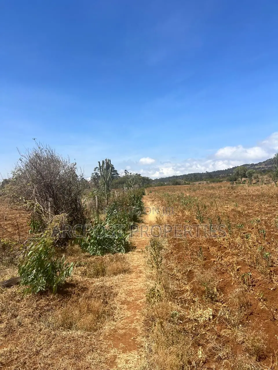 50 Acres for Sale Near Meru–Nanyuki–Isiolo Junction in Municipality