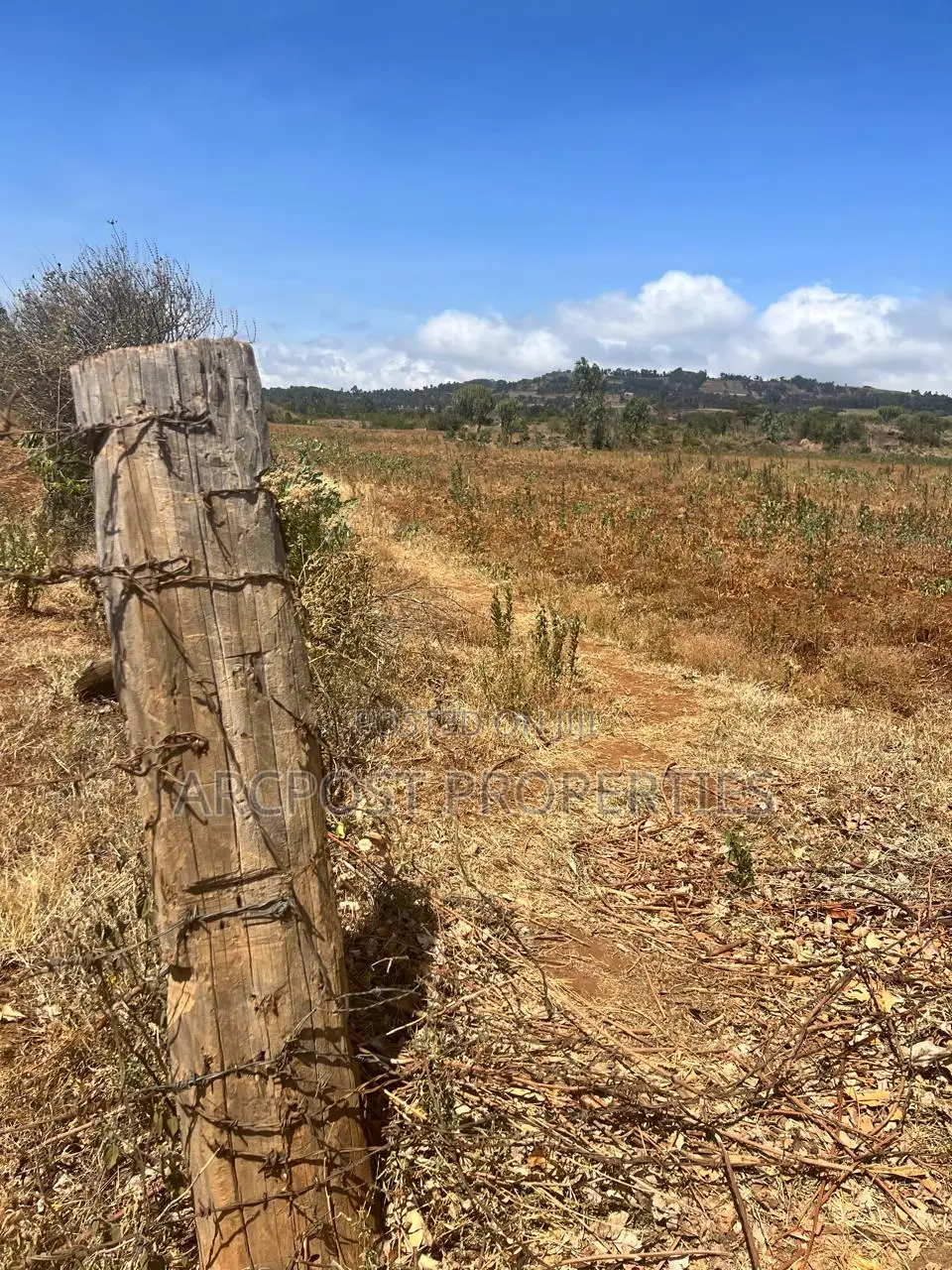 50 Acres for Sale Near Meru–Nanyuki–Isiolo Junction in Municipality
