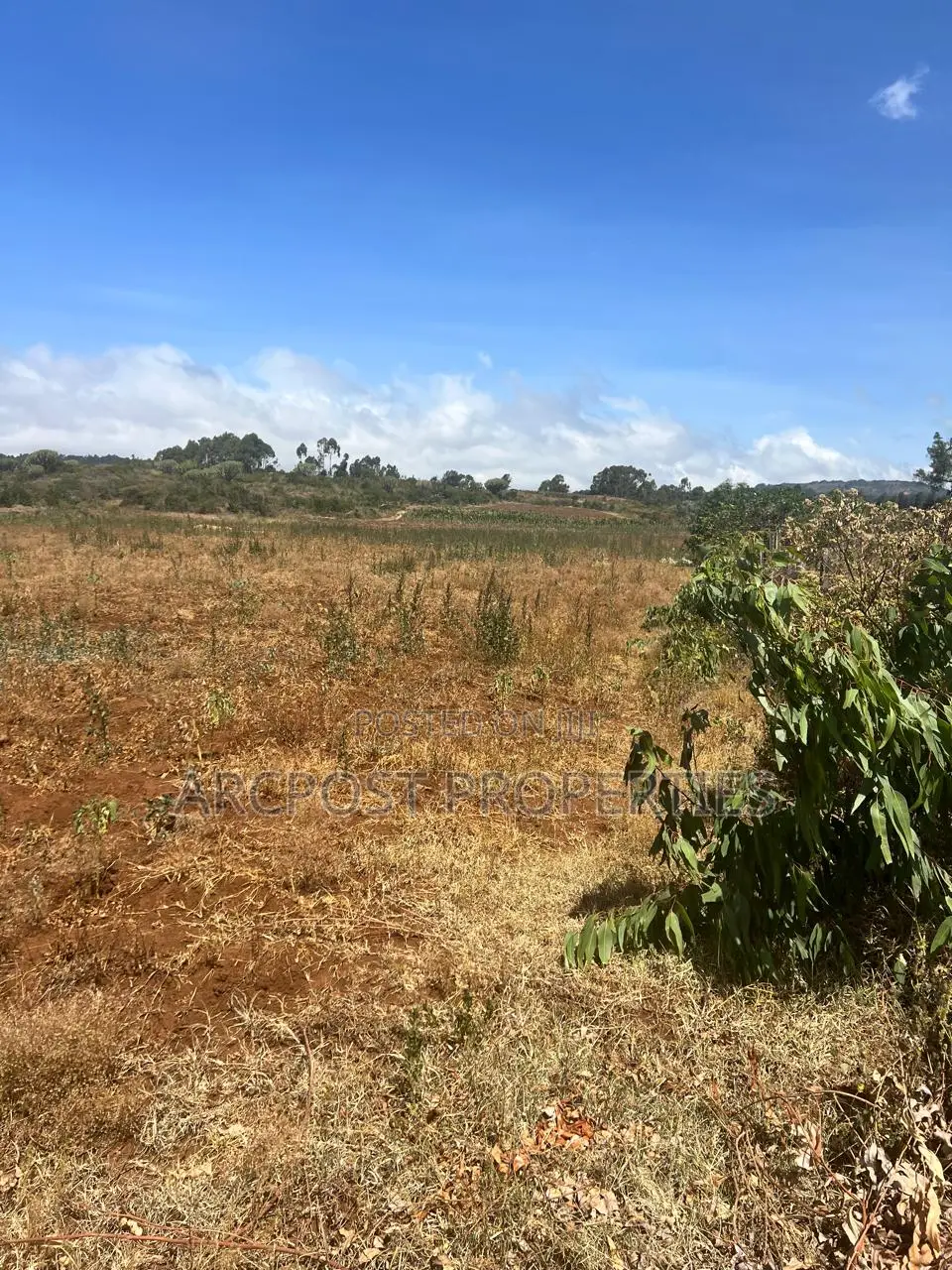 50 Acres for Sale Near Meru–Nanyuki–Isiolo Junction in Municipality