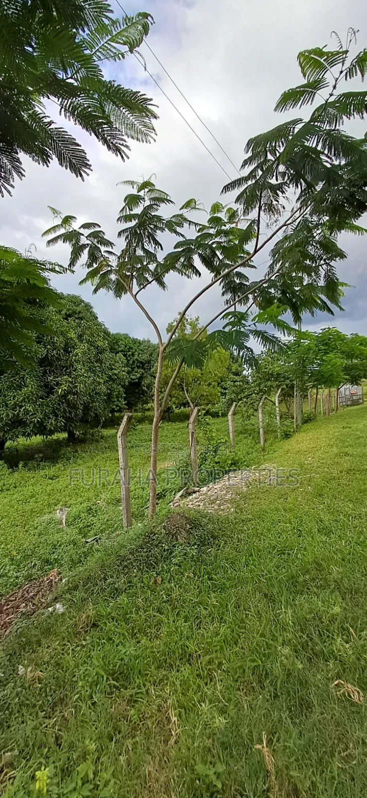 For Sale Two Acre Land Mtwapa in Mtwapa