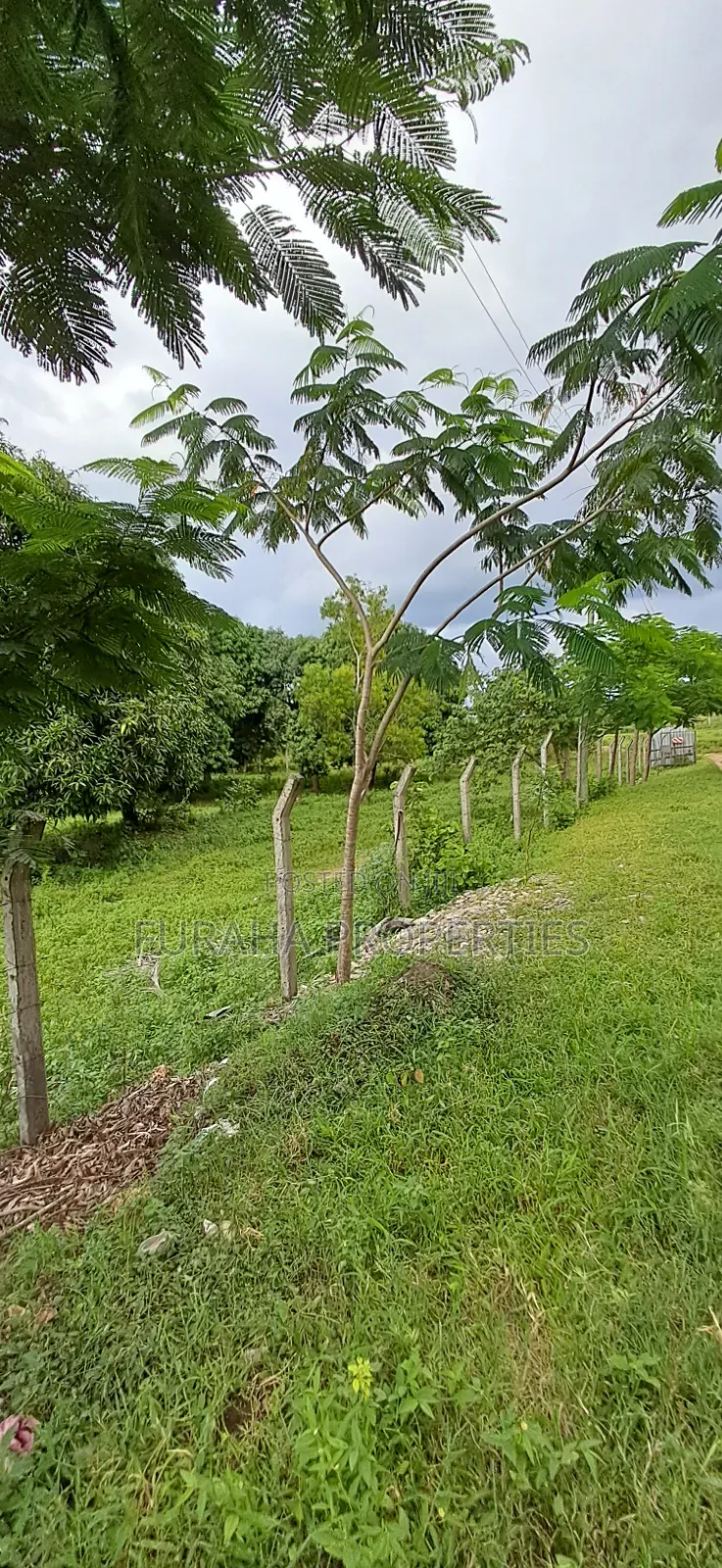For Sale Two Acre Land Mtwapa in Mtwapa