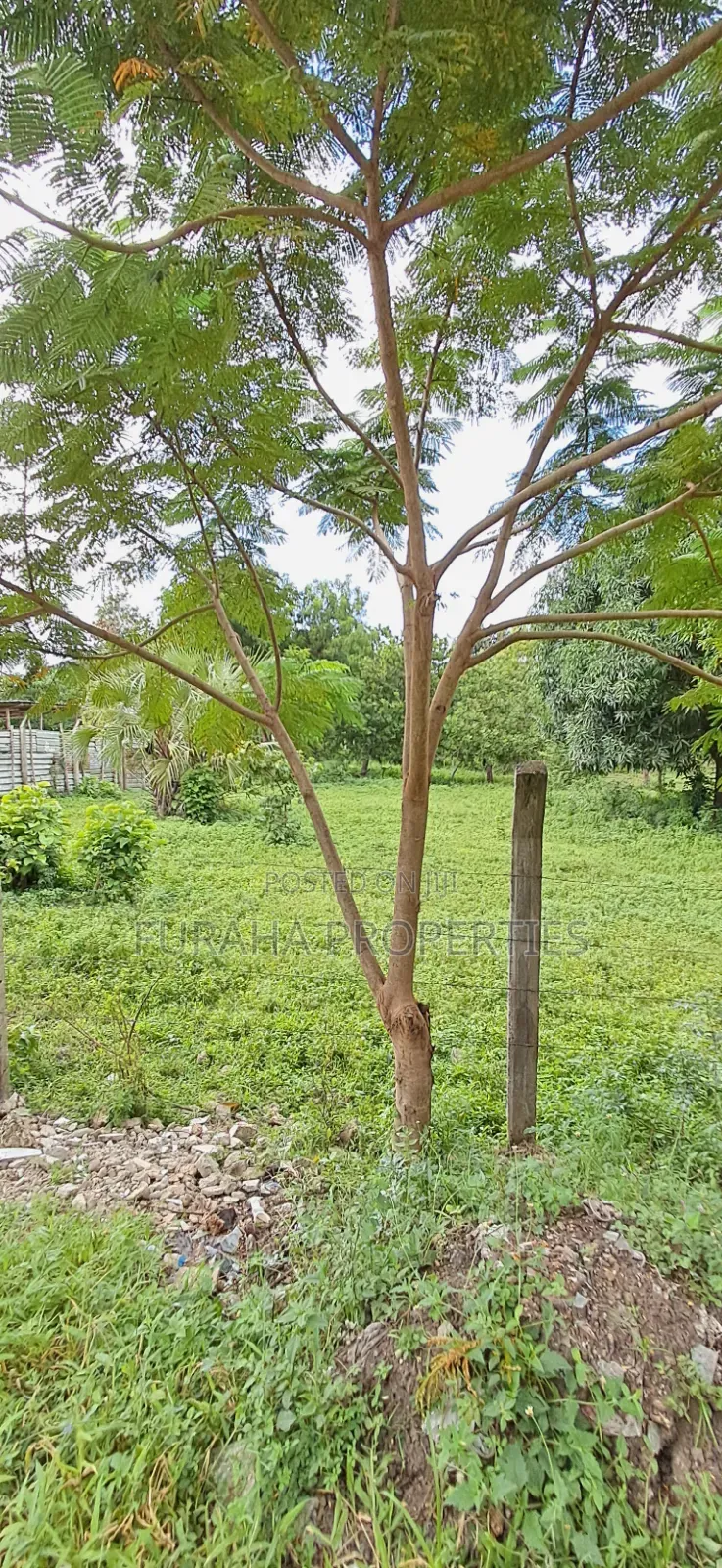 For Sale Two Acre Land Mtwapa in Mtwapa