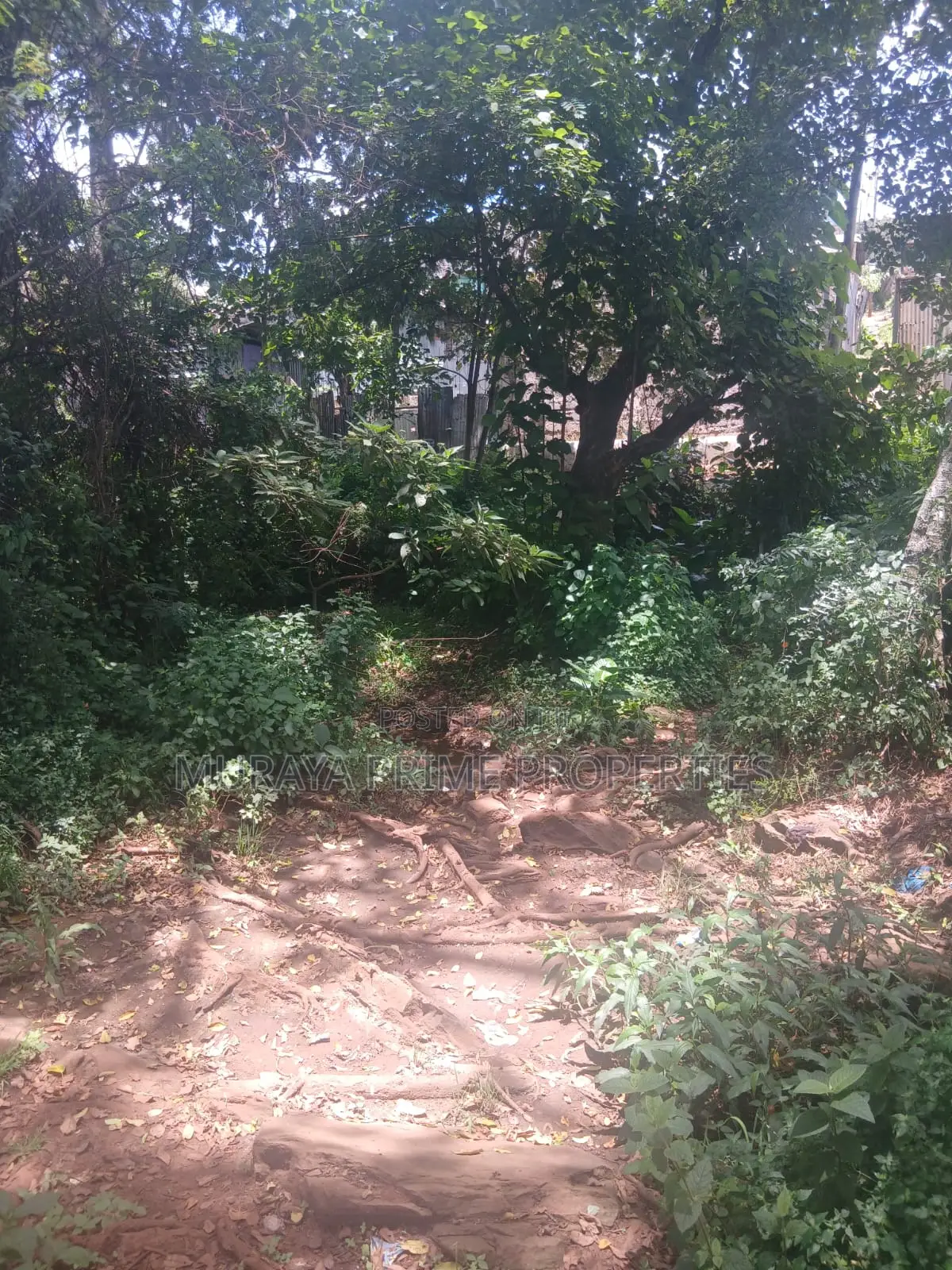 Kerarapon Area.This Beautiful 1-Acre in Kerarapon