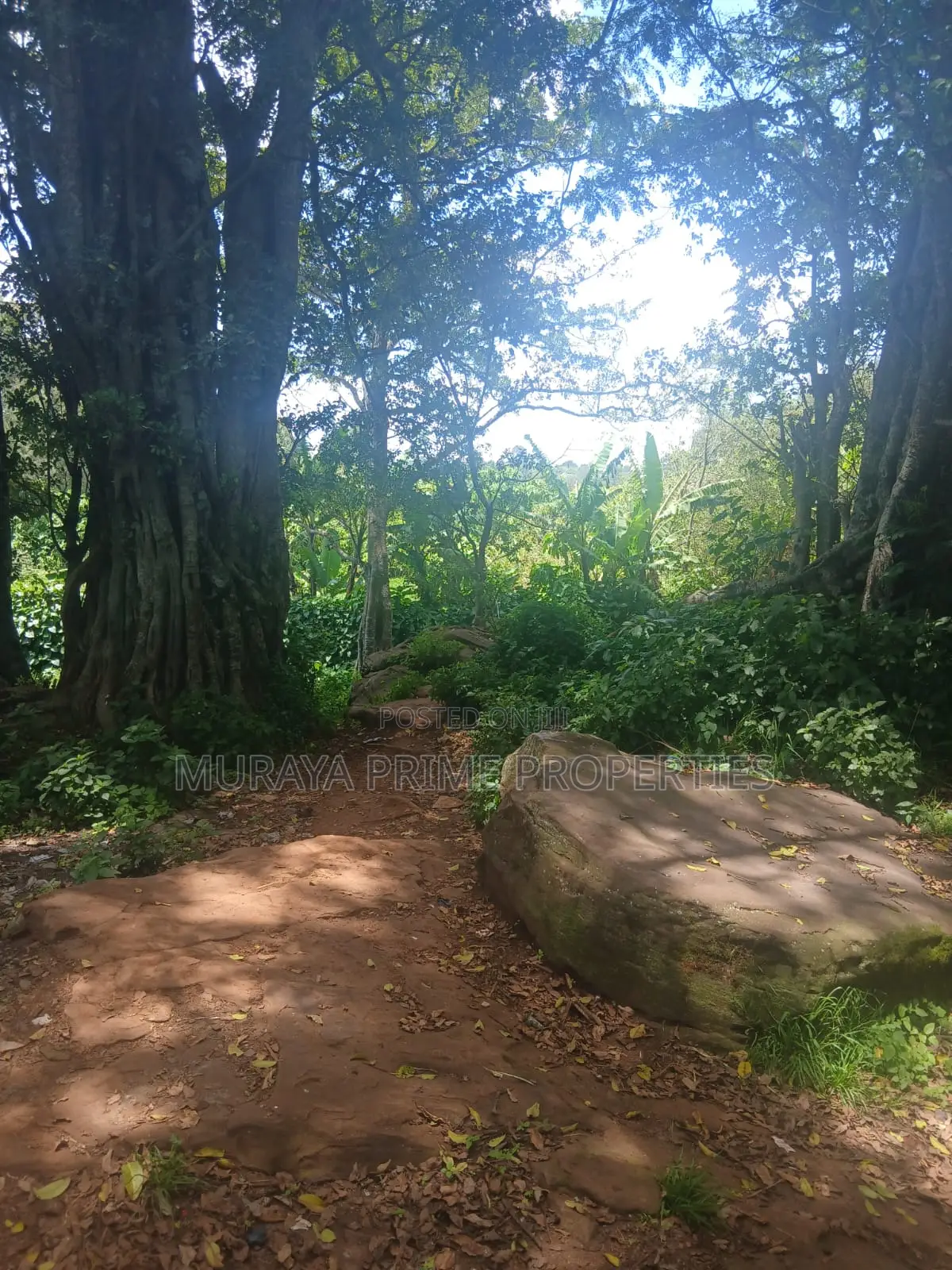 Kerarapon Area.This Beautiful 1-Acre in Kerarapon