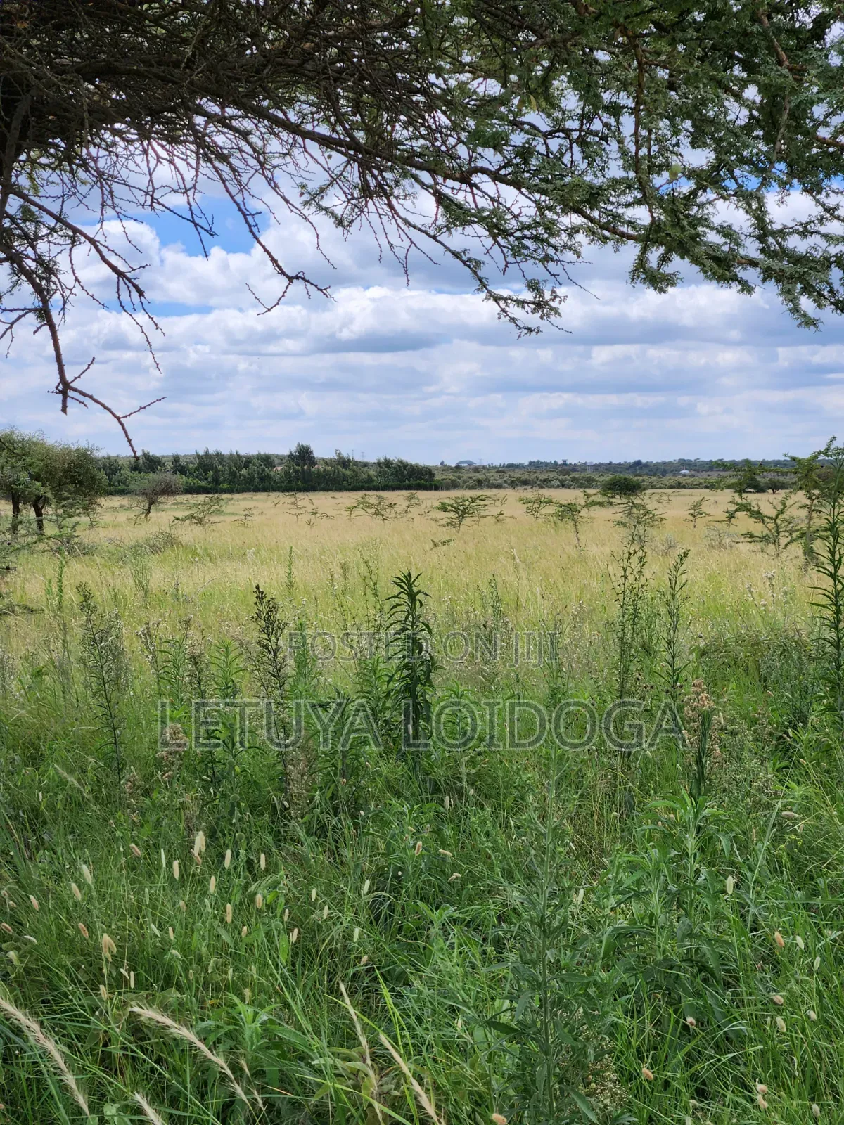 Ngong-Kimuka, Prime 5 Acres in Kibiku