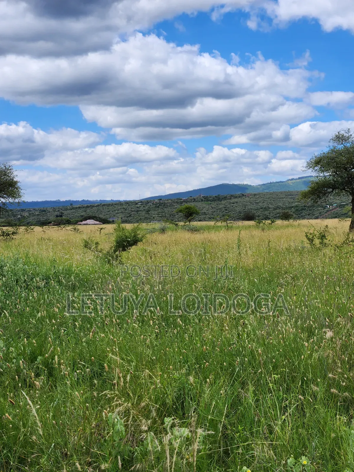 Ngong-Kimuka, Prime 5 Acres in Kibiku