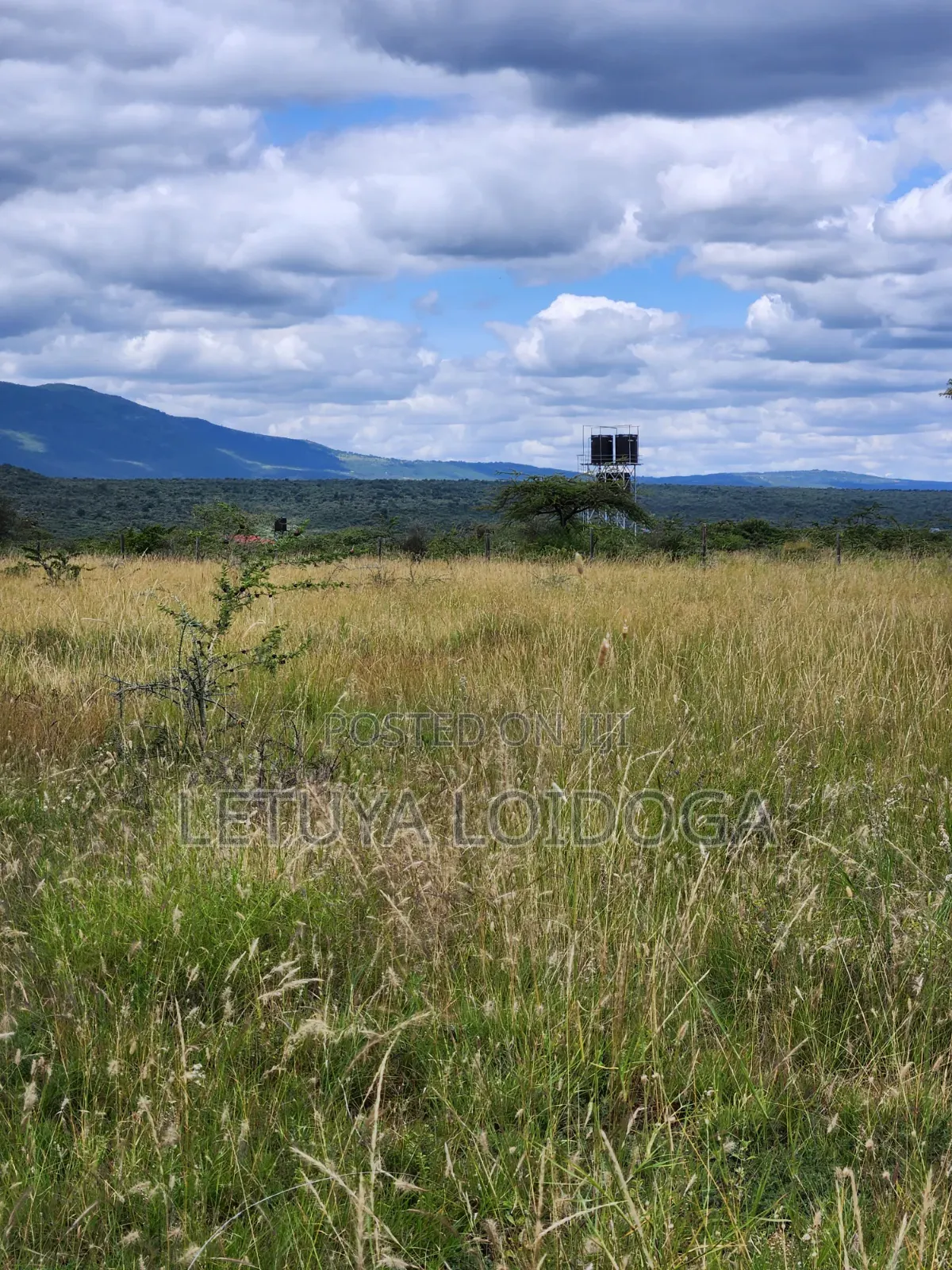 Ngong-Kimuka, Prime 5 Acres in Kibiku
