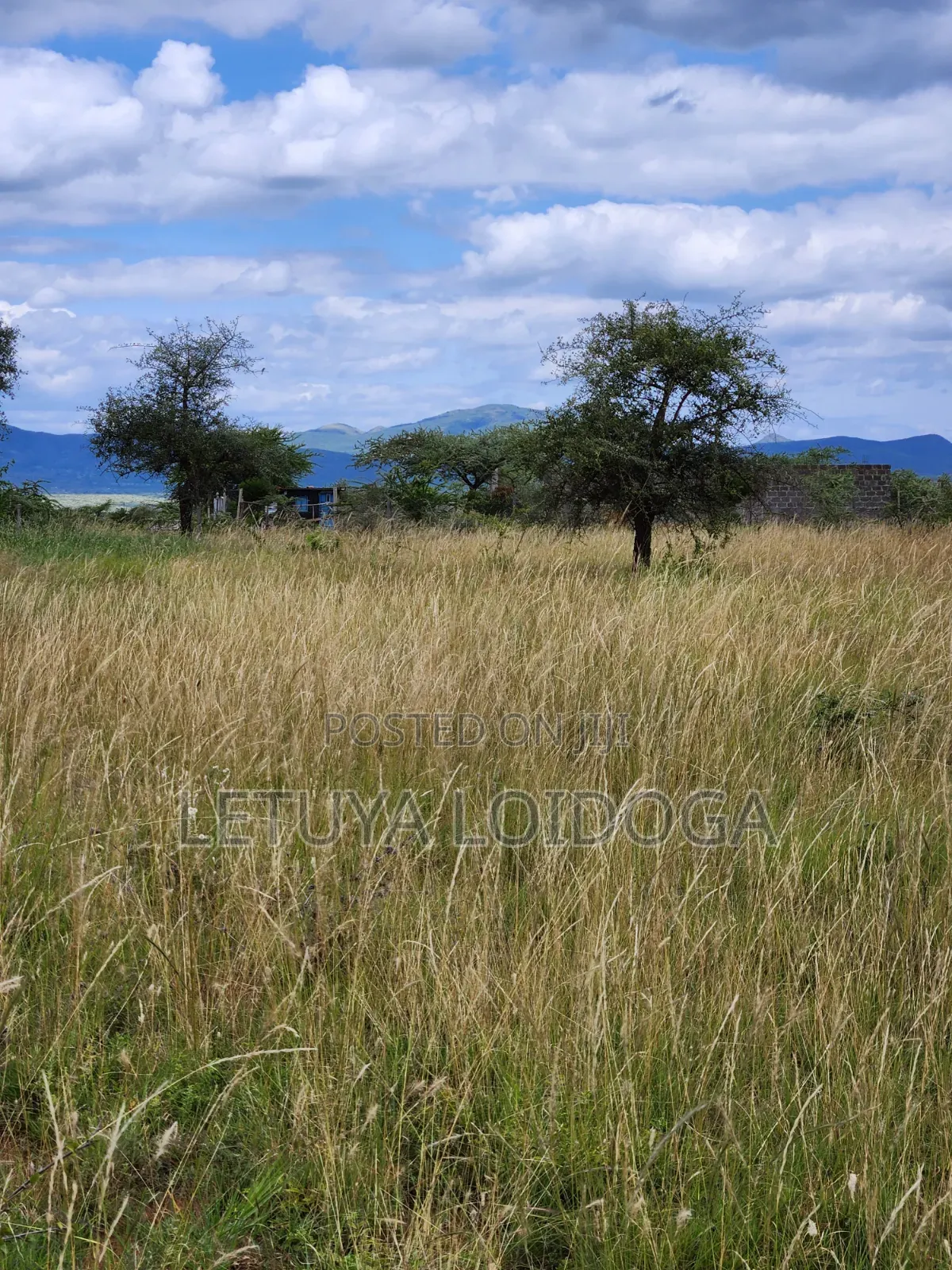 Ngong-Kimuka, Prime 5 Acres in Kibiku
