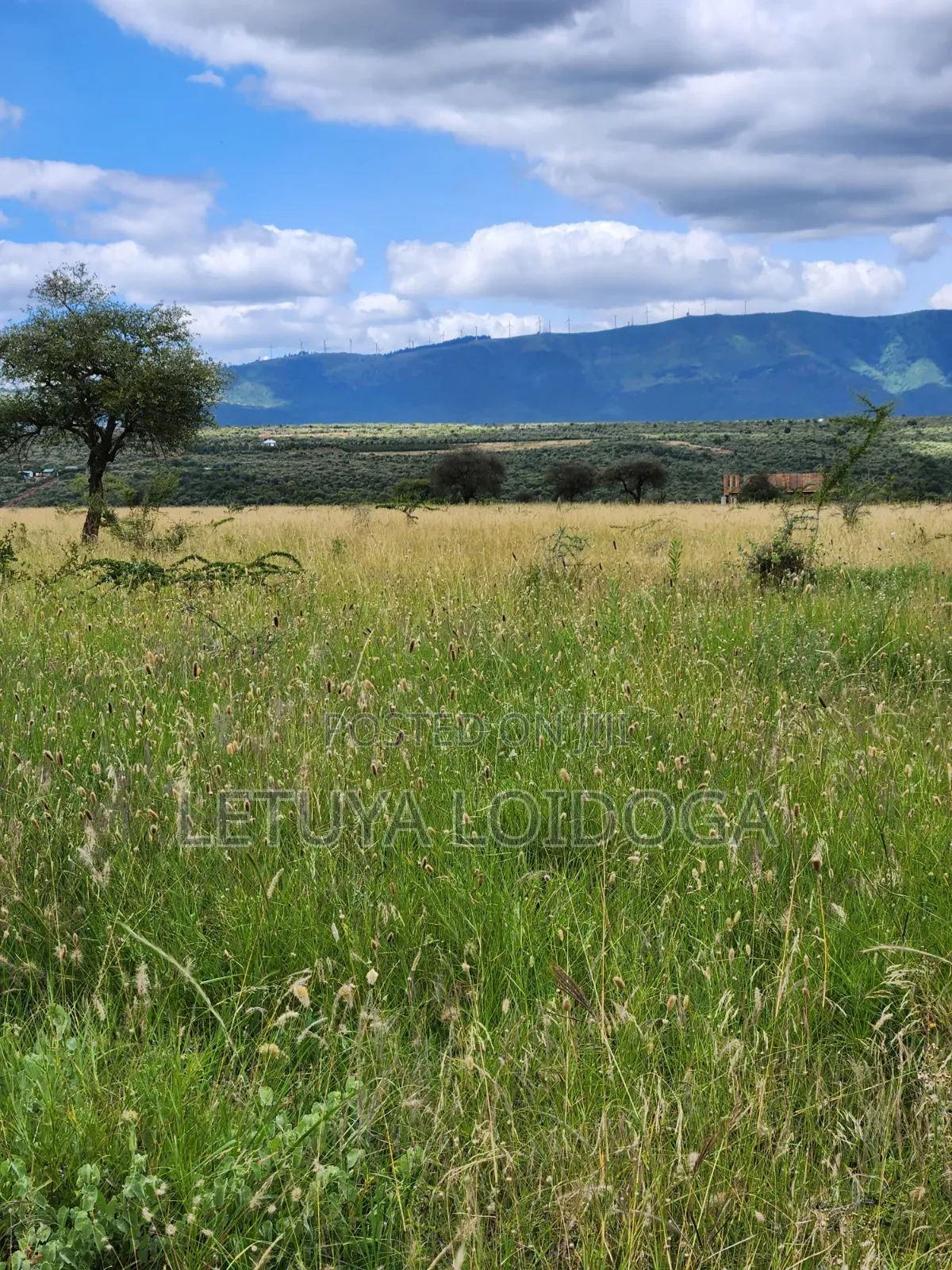 Ngong-Kimuka, Prime 5 Acres in Kibiku