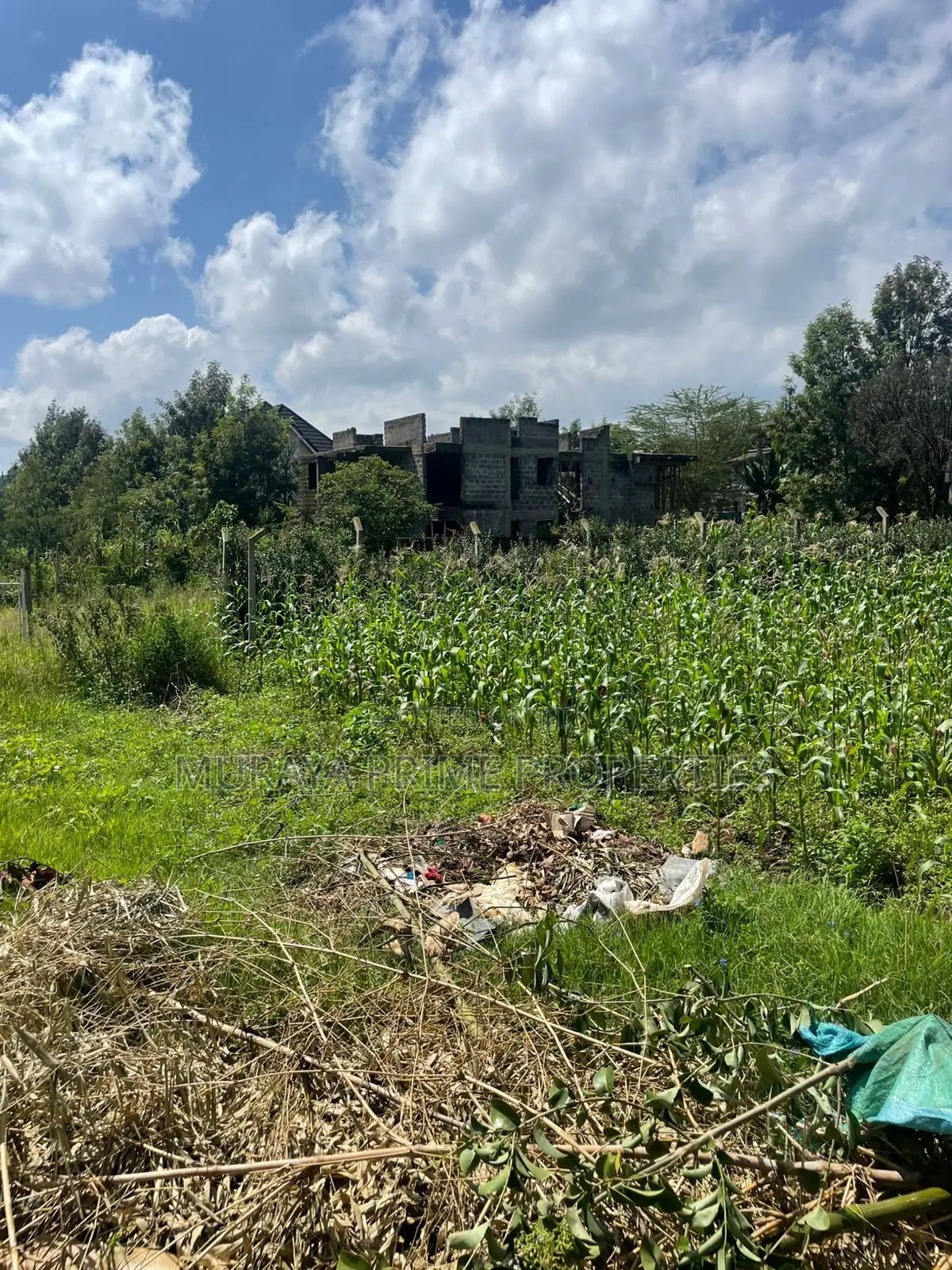 Quarter Acre Plot for Sale in Kerarapon Drive in Kerarapon