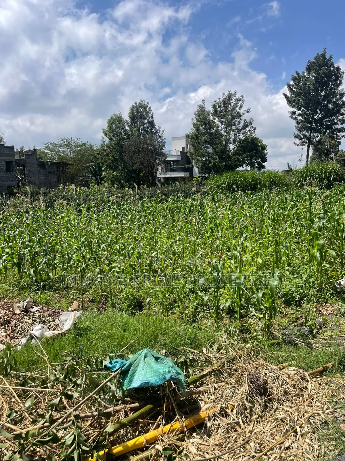 Quarter Acre Plot for Sale in Kerarapon Drive in Kerarapon