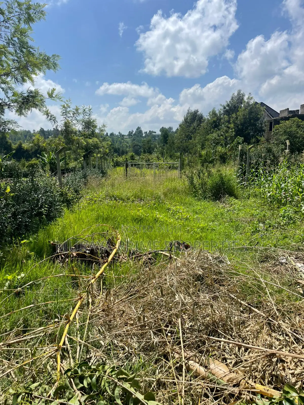 Quarter Acre Plot for Sale in Kerarapon Drive in Kerarapon