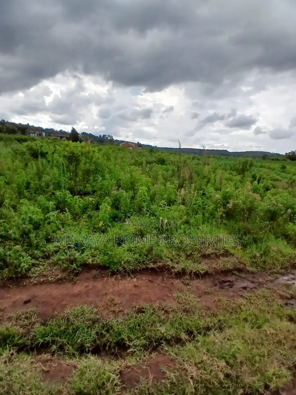 Prime 7 Acres for Sale – Kerarapon Drive in Kerarapon