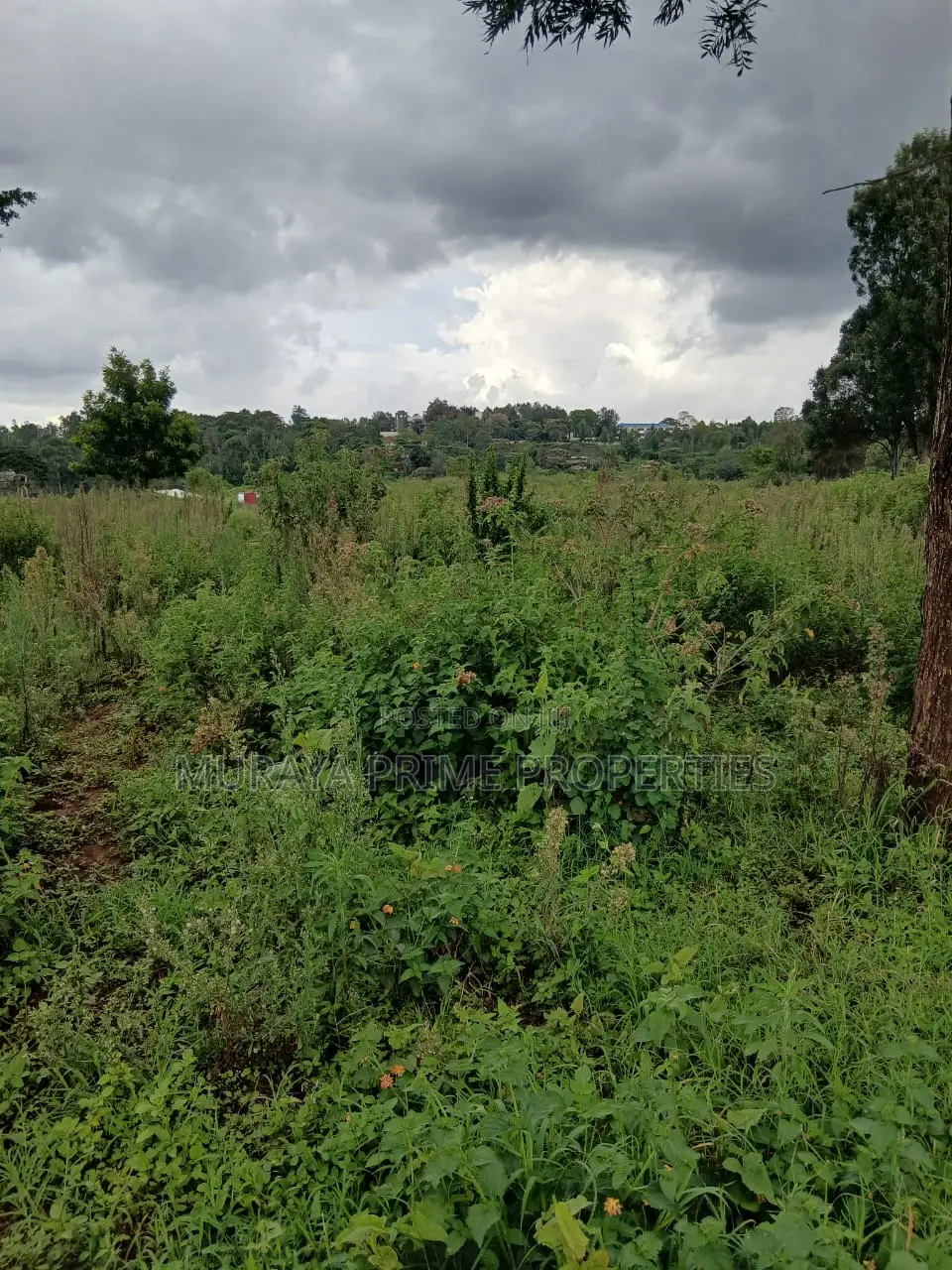 Prime 7 Acres for Sale – Kerarapon Drive in Kerarapon