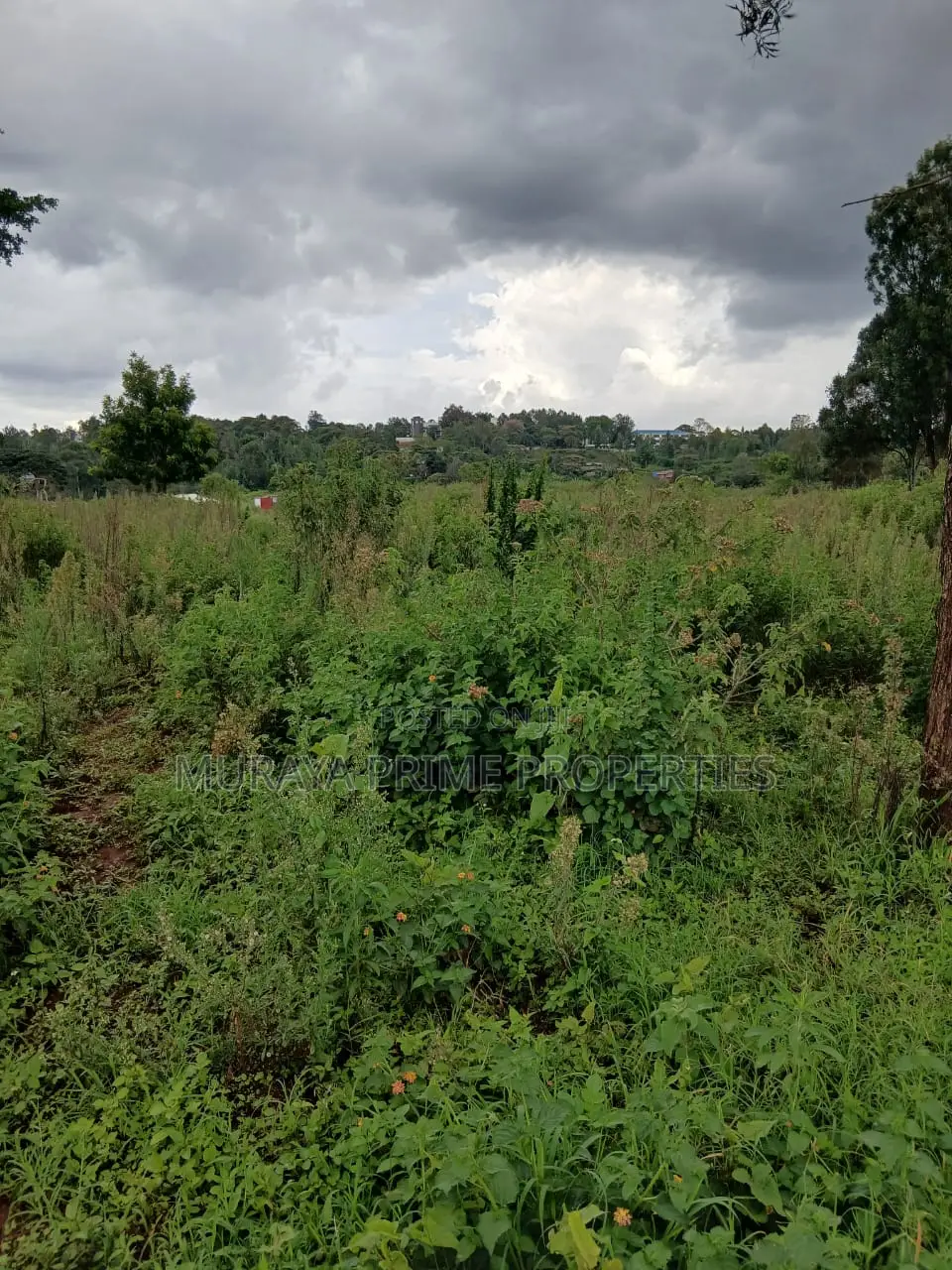 Prime 7 Acres for Sale – Kerarapon Drive in Kerarapon