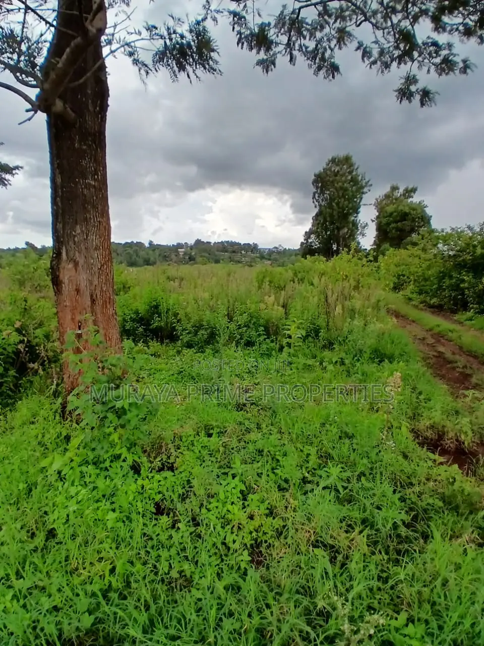 Prime 7 Acres for Sale – Kerarapon Drive in Kerarapon