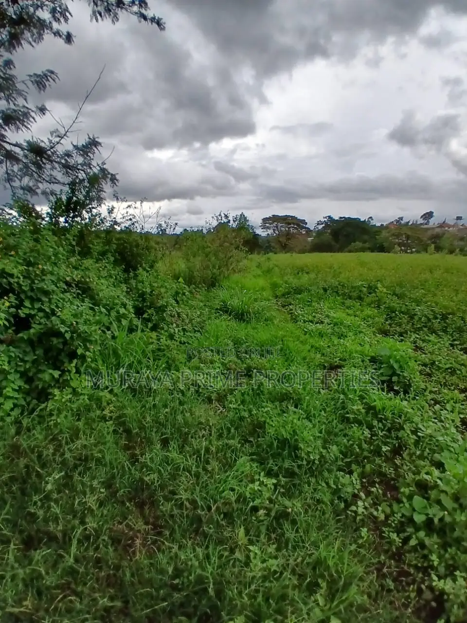 Prime 7 Acres for Sale – Kerarapon Drive in Kerarapon