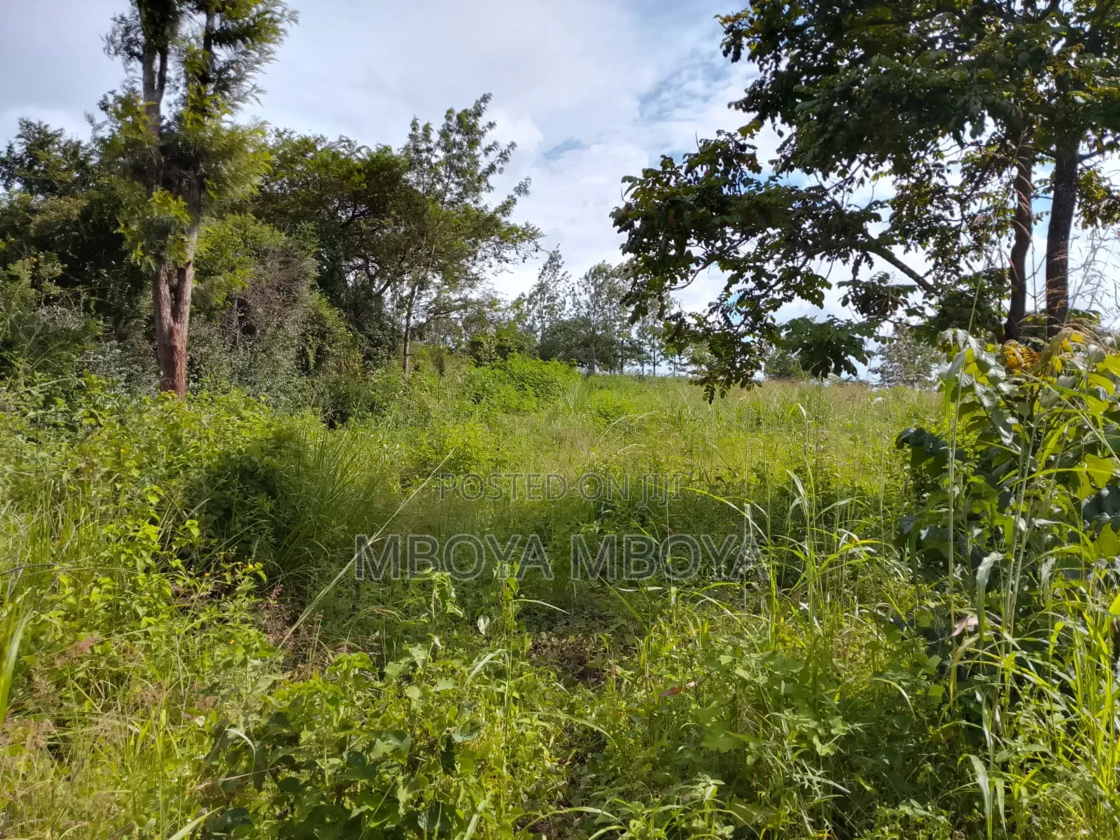 1.25acre Land for Sale in Kilimani in Hurlingham