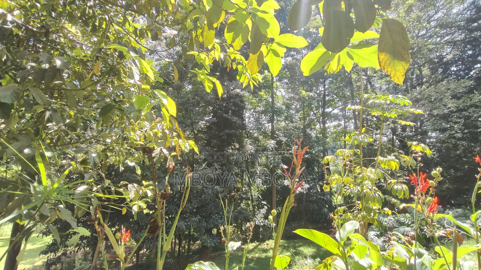1.25acre Land for Sale in Kilimani in Hurlingham