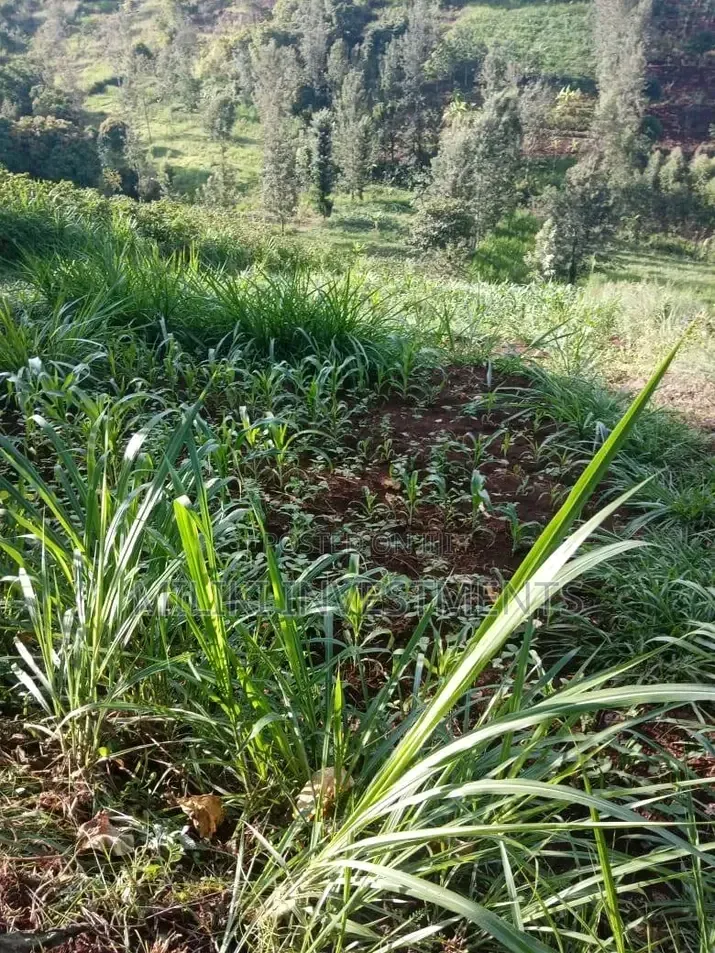 0.7 Acres on Sale at Kiriani-Kiambugi in Kamacharia