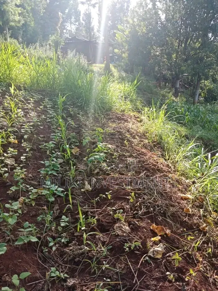 0.7 Acres on Sale at Kiriani-Kiambugi in Kamacharia