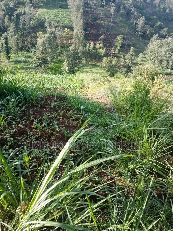 0.7 Acres on Sale at Kiriani-Kiambugi in Kamacharia