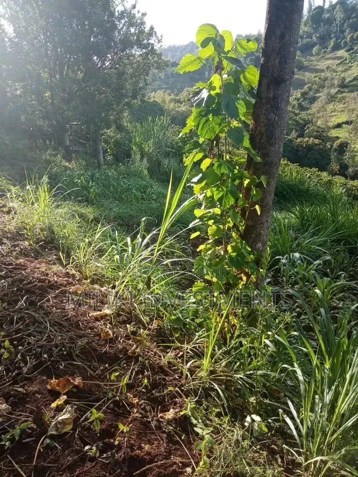 0.7 Acres on Sale at Kiriani-Kiambugi in Kamacharia