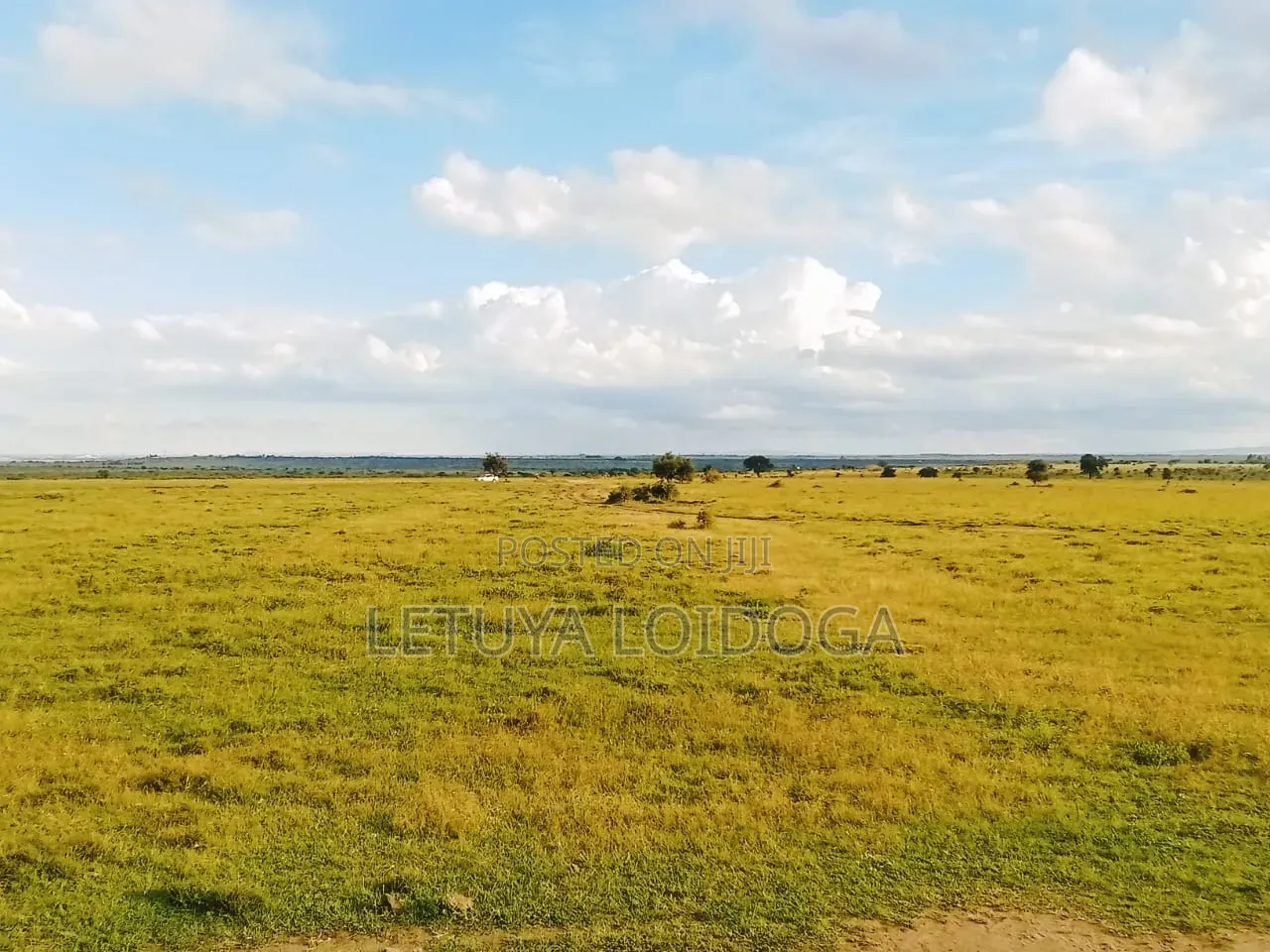 218 Acres Kitengela in Kitengela